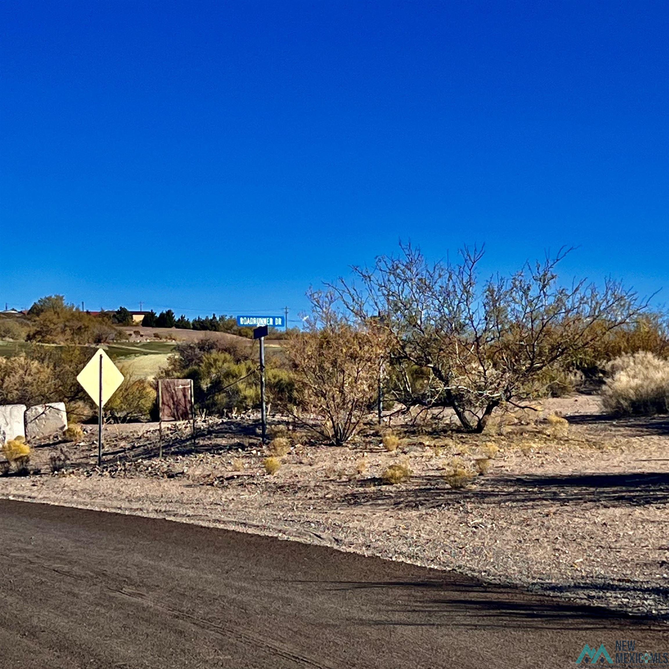 Lot 7 A Stagecoach Street, Elephant Butte, Texas image 5