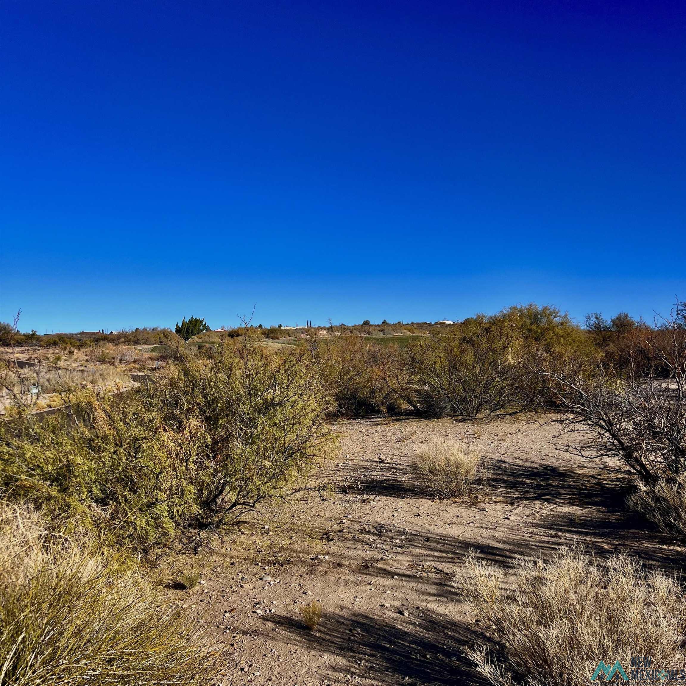 Lot 7 A Stagecoach Street, Elephant Butte, Texas image 7