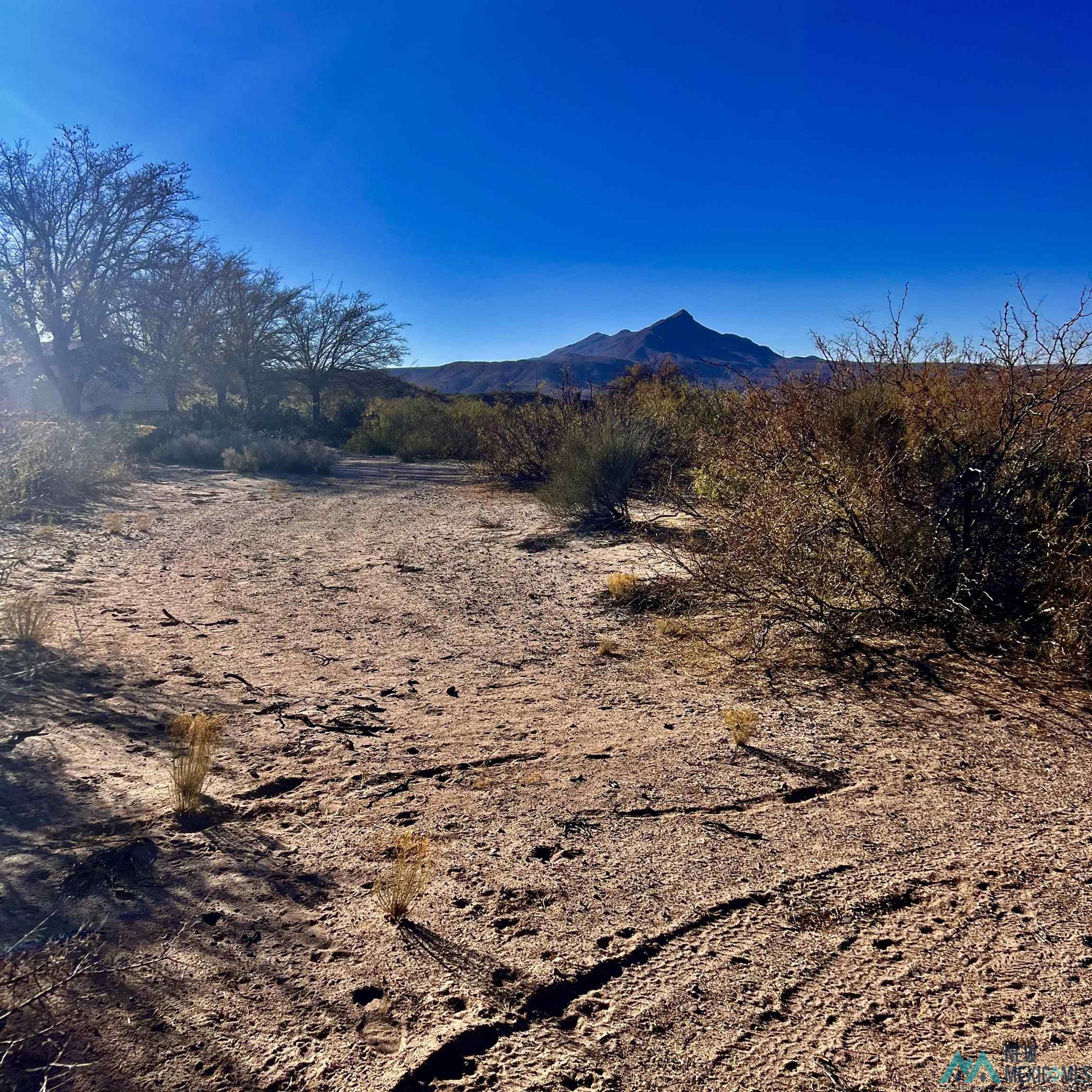 Lot 7 A Stagecoach Street, Elephant Butte, Texas image 4