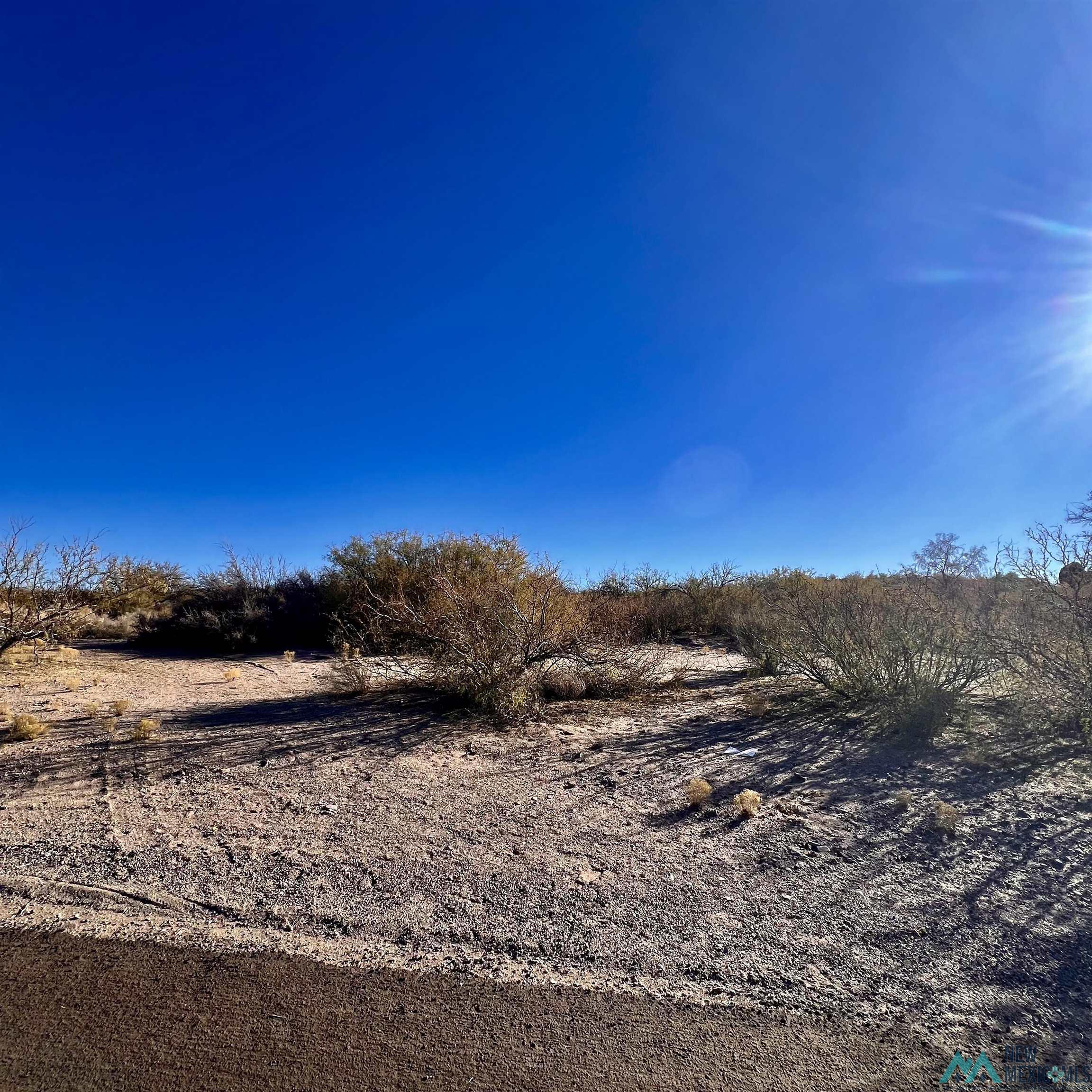 Lot 7 A Stagecoach Street, Elephant Butte, Texas image 1