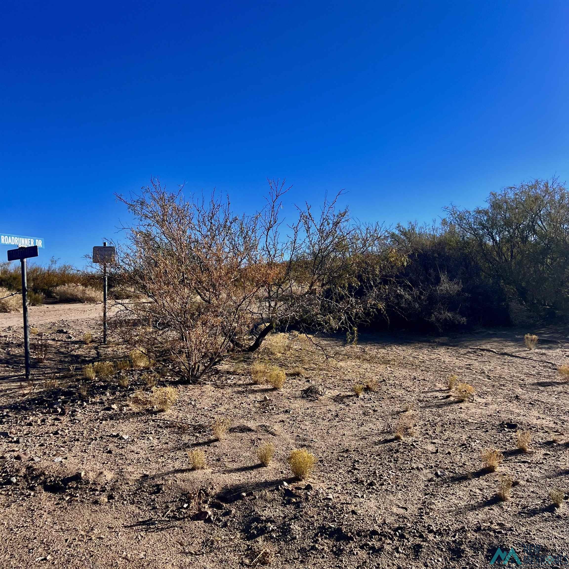 Lot 7 A Stagecoach Street, Elephant Butte, Texas image 3