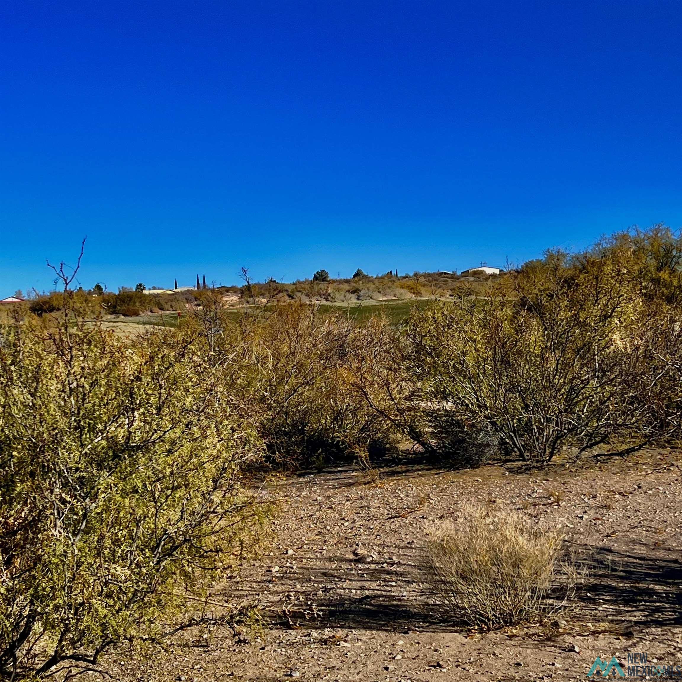 Lot 7 A Stagecoach Street, Elephant Butte, Texas image 6