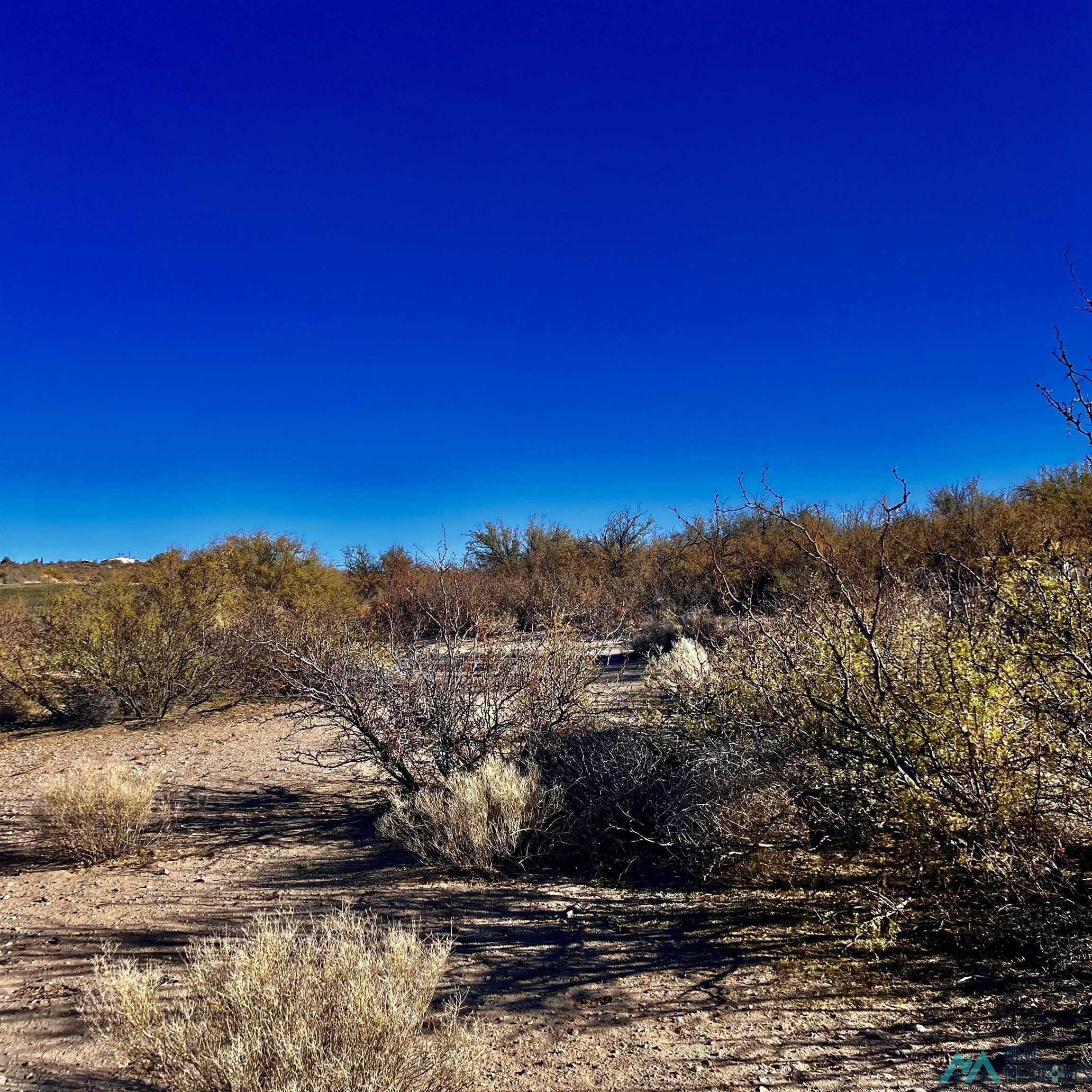 Lot 7 A Stagecoach Street, Elephant Butte, Texas image 2