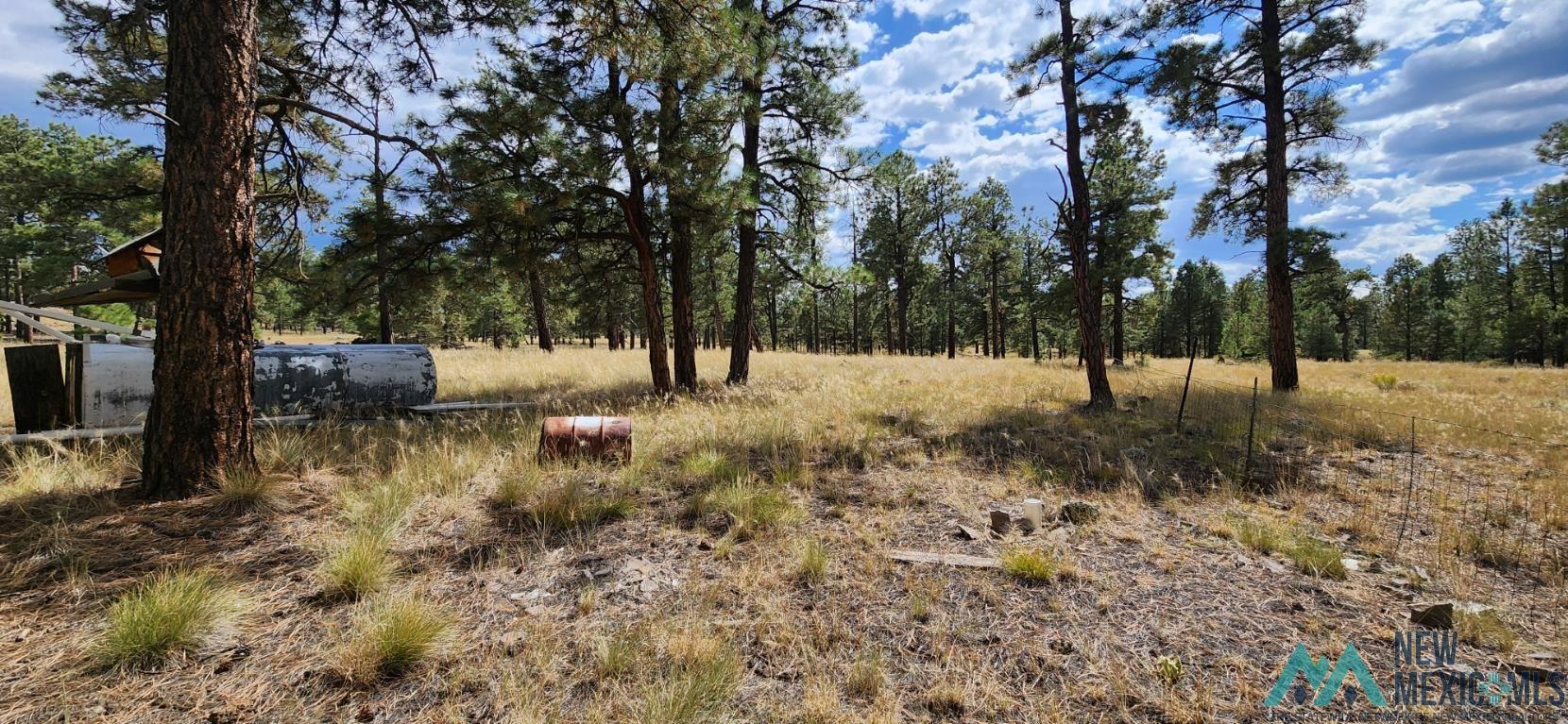 88 Fumarole Road, Grants, Texas image 18