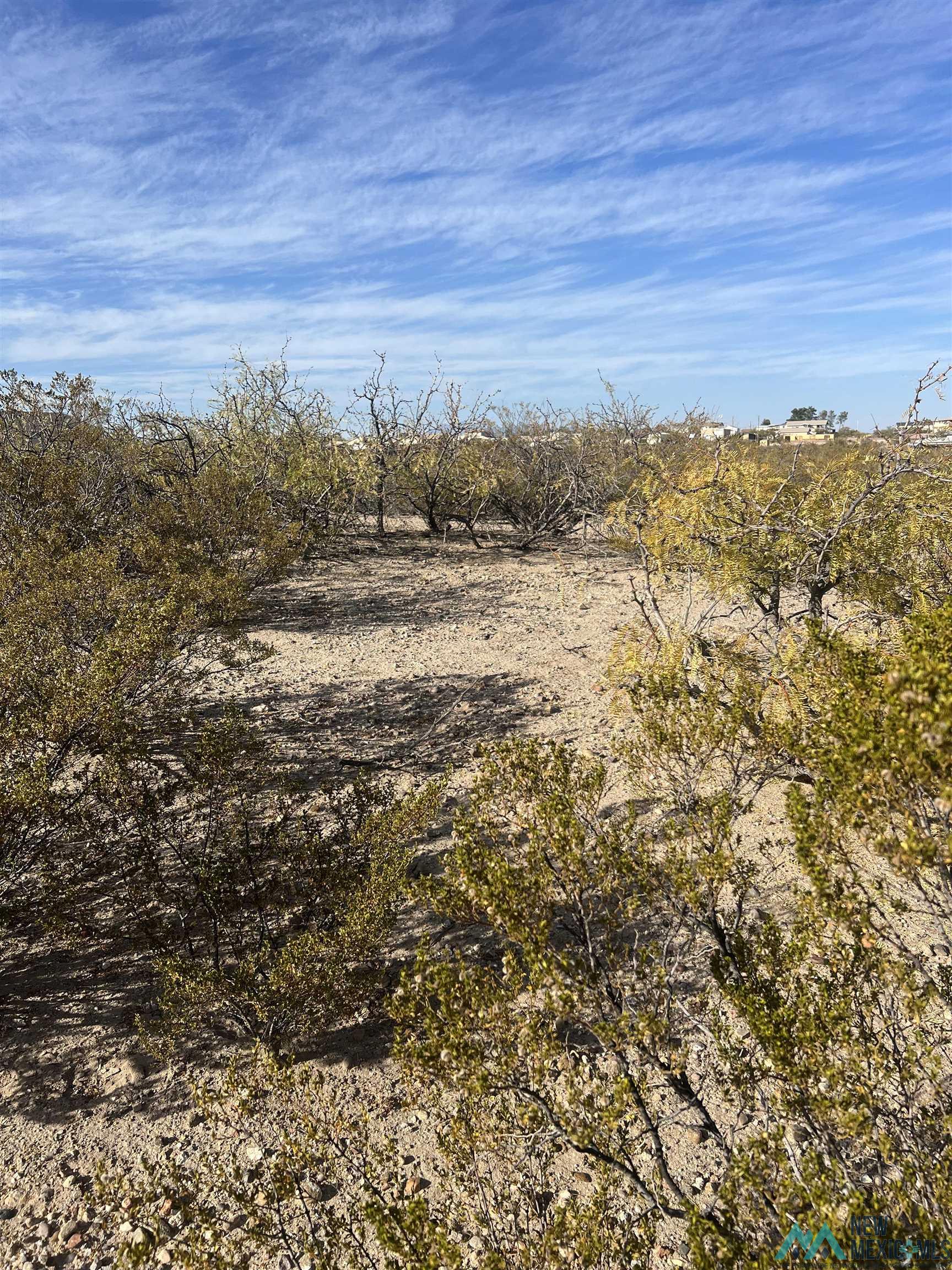 207 Olympic Street, Elephant Butte, Texas image 1