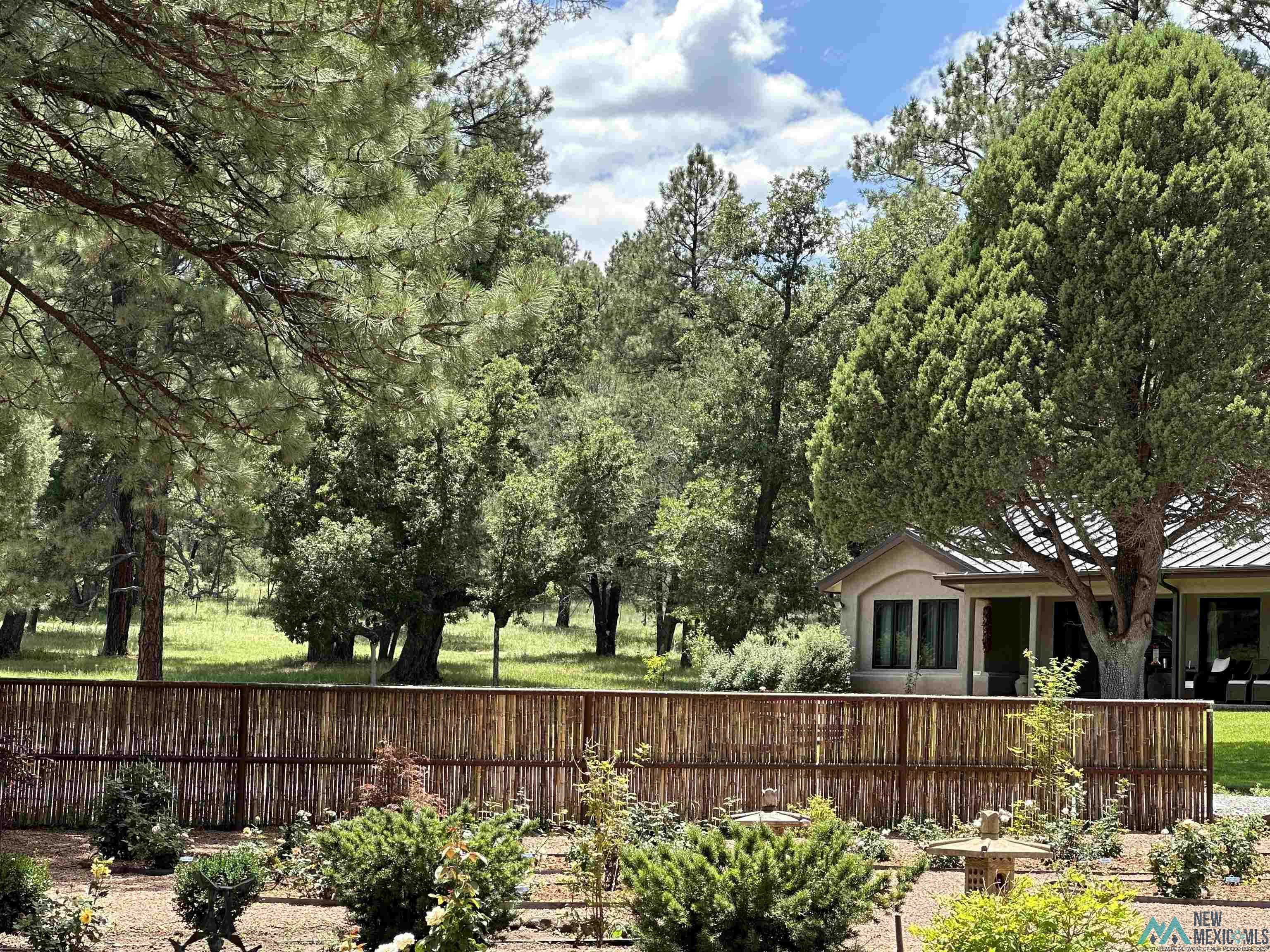 200 Meadow Lane, Mimbres, Texas image 11