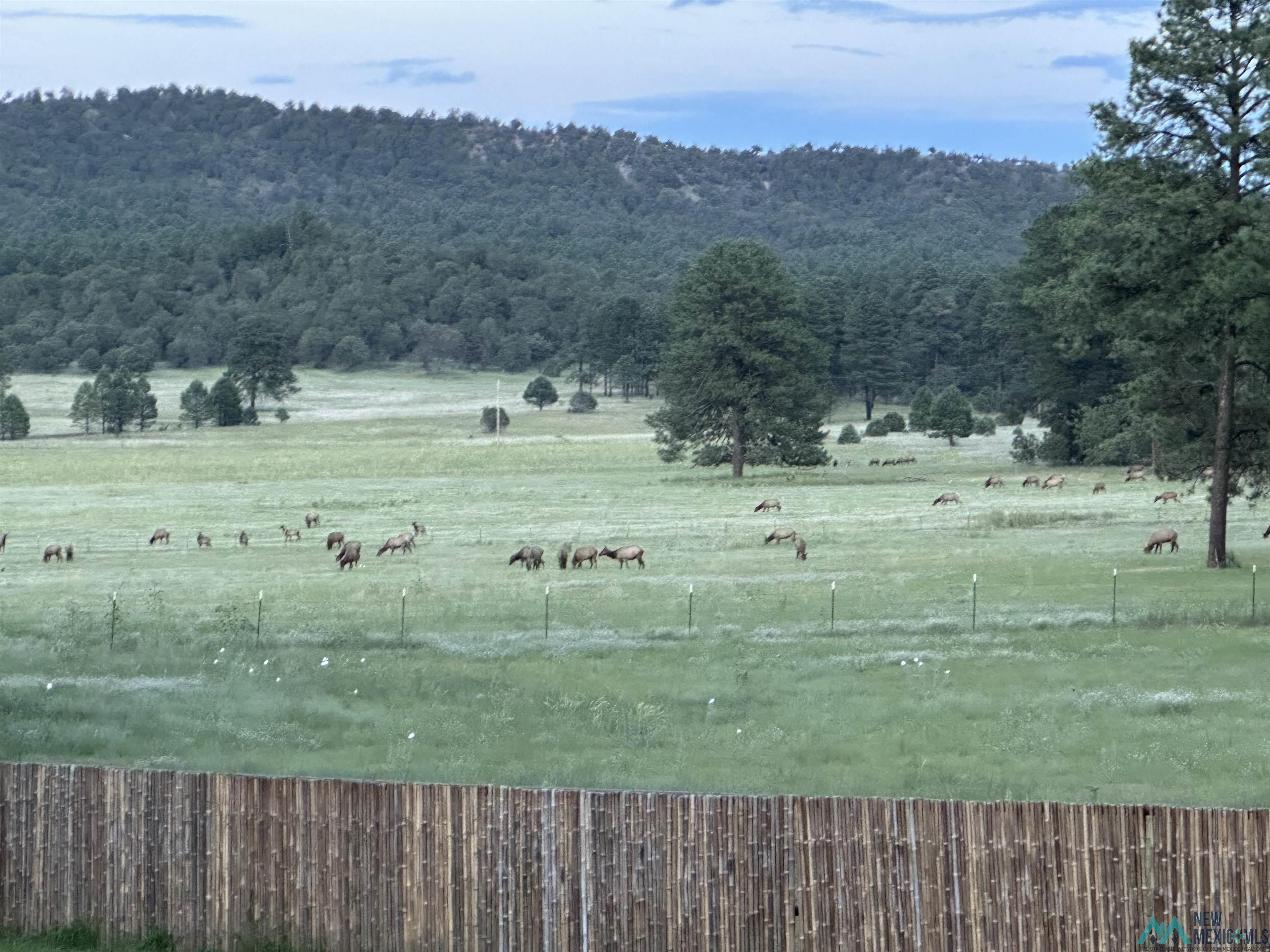 200 Meadow Lane, Mimbres, Texas image 7