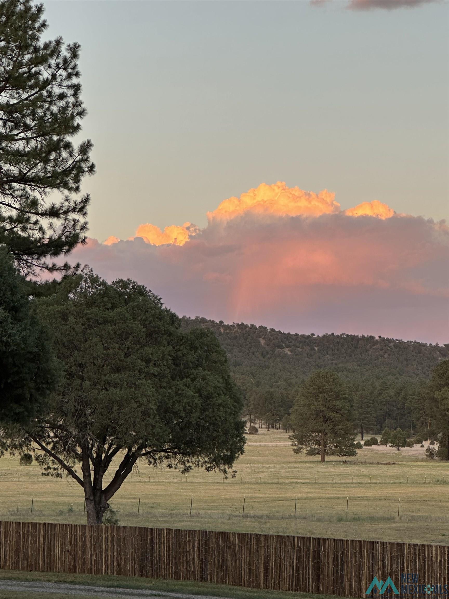 200 Meadow Lane, Mimbres, Texas image 10