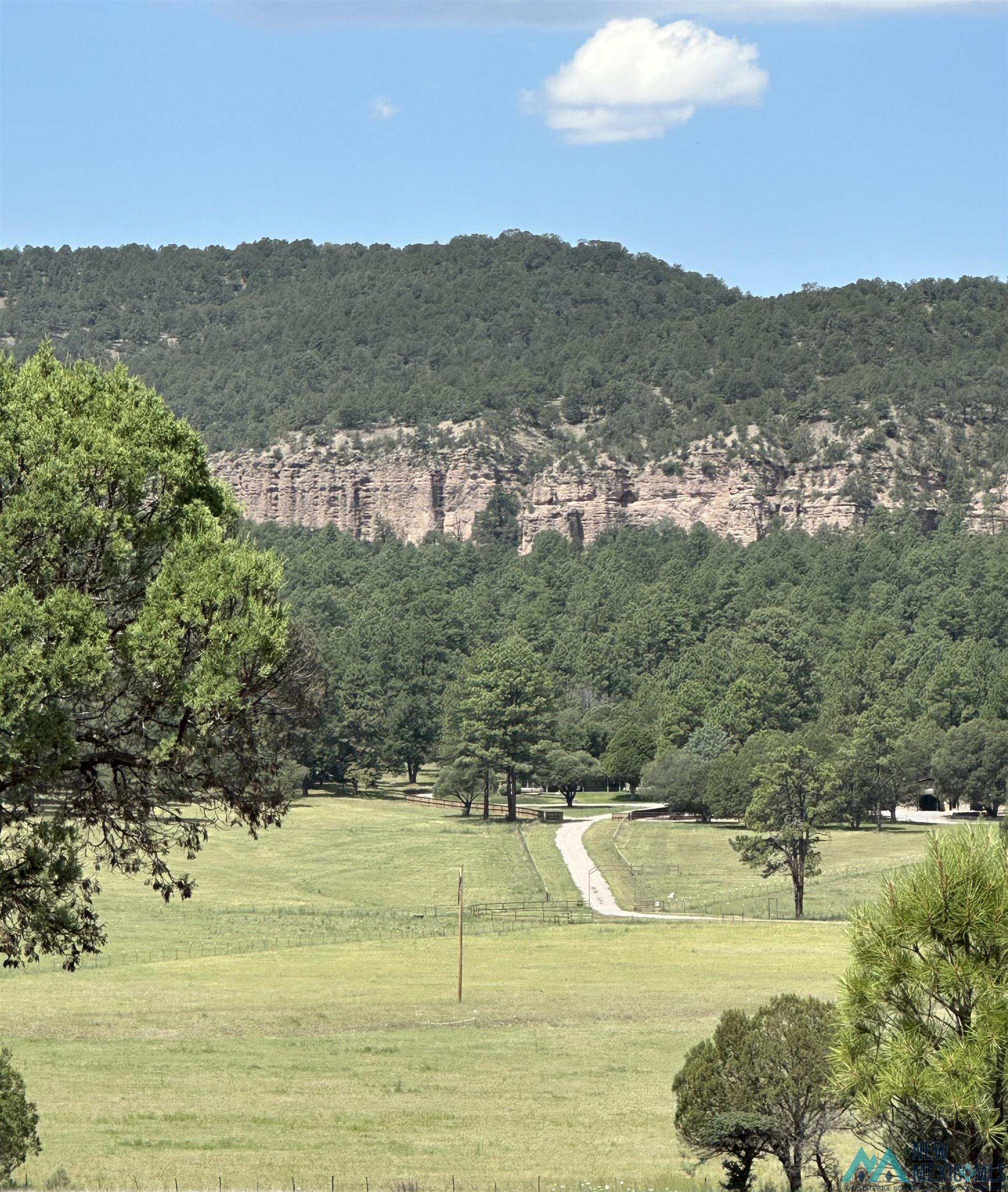 200 Meadow Lane, Mimbres, Texas image 4