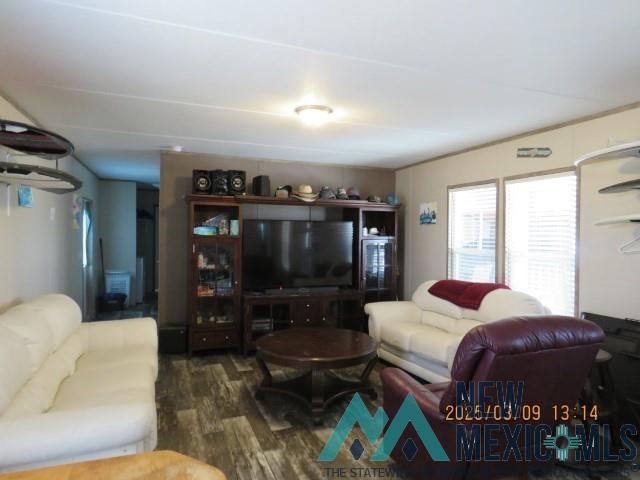 201 Calle Del Sol Street, Elephant Butte, New Mexico image 10