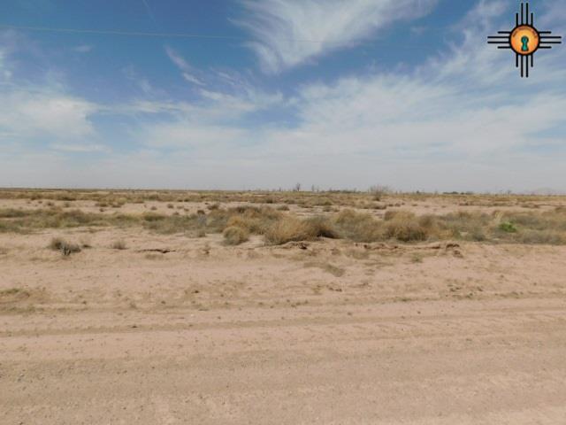 Purple Sage Rd Sw, Deming, New Mexico image 7