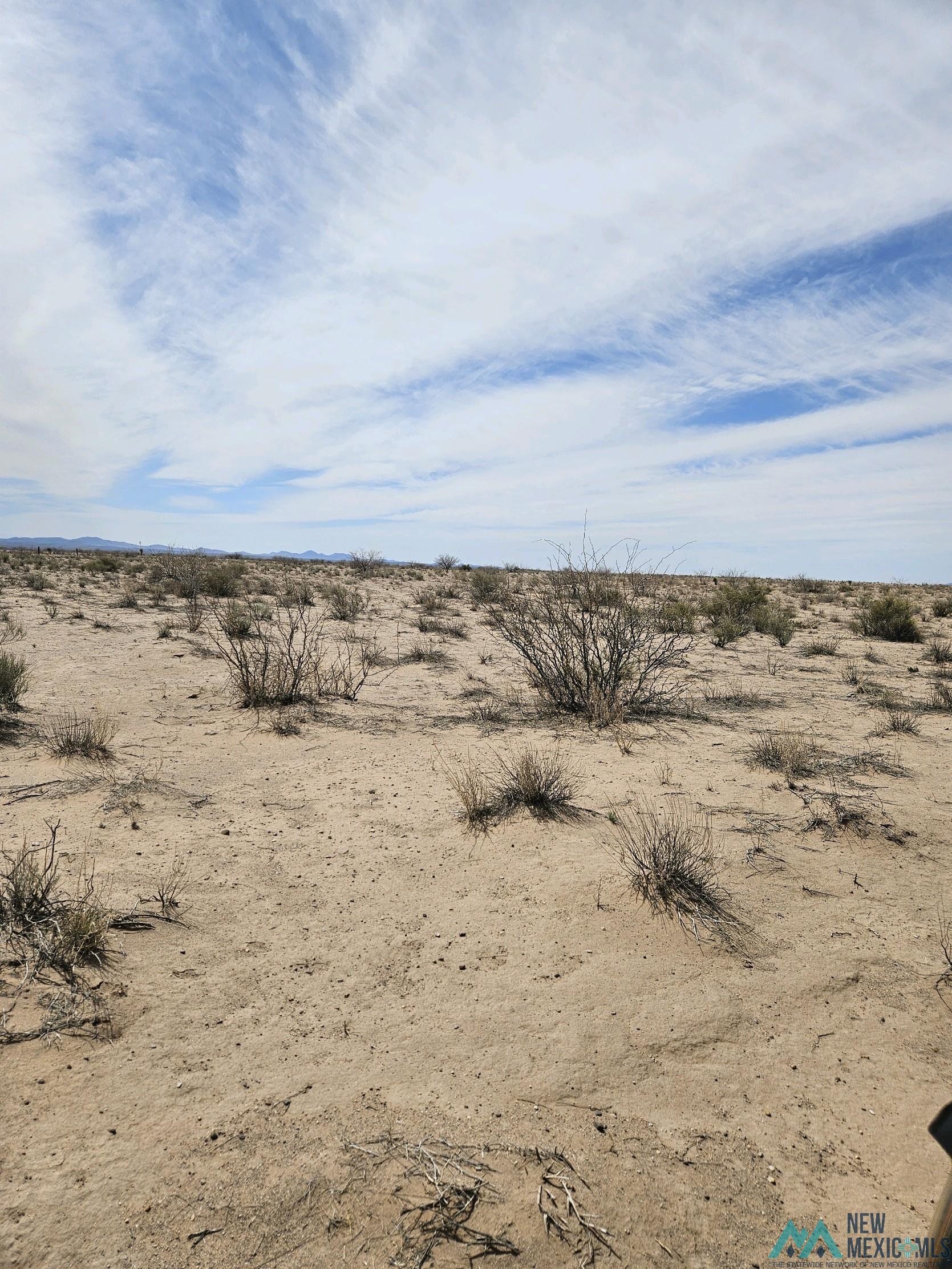 XXXX SW Prairie, Deming, New Mexico image 2