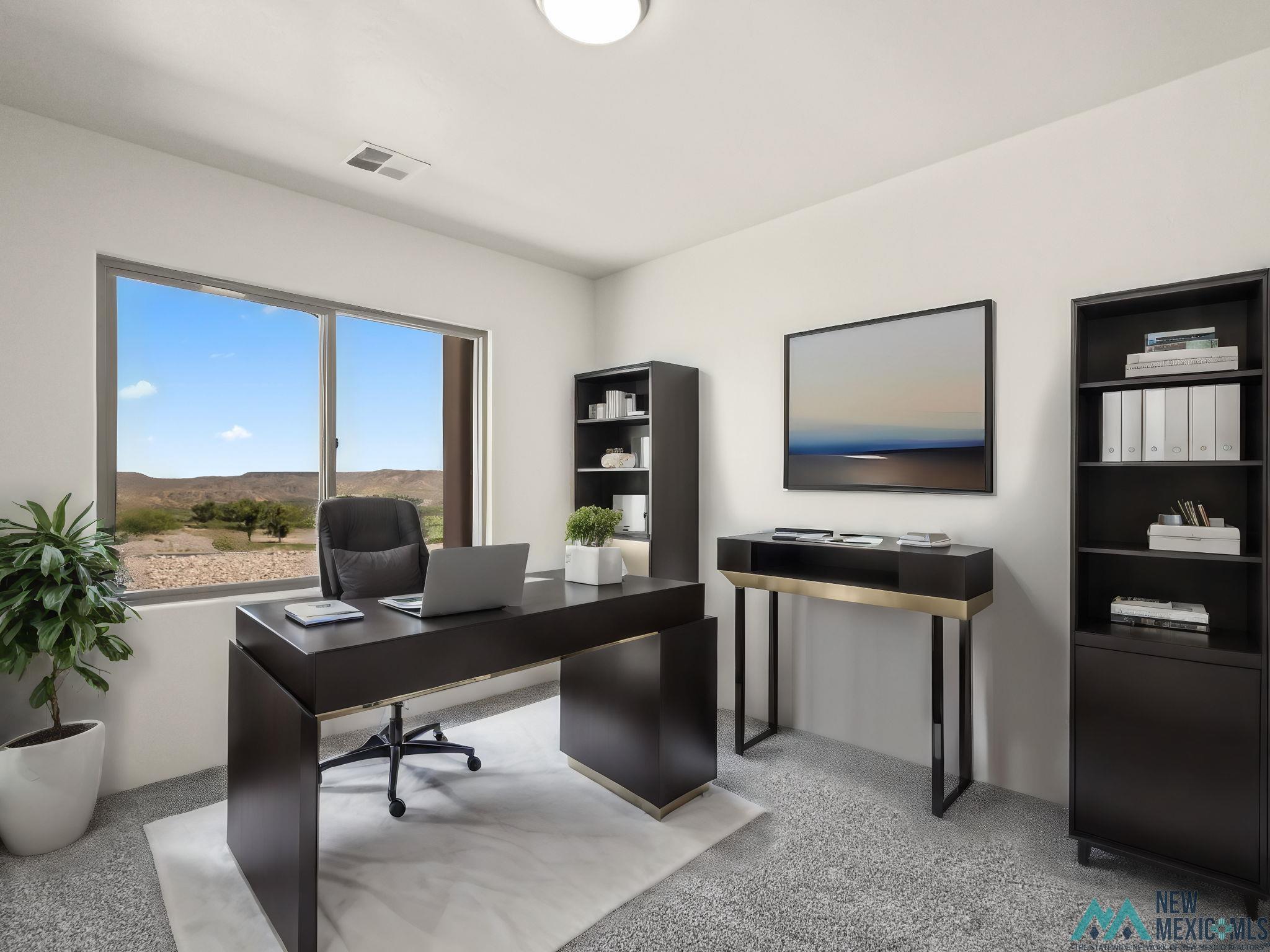 202 Tierra Verde Road, Elephant Butte, New Mexico image 23