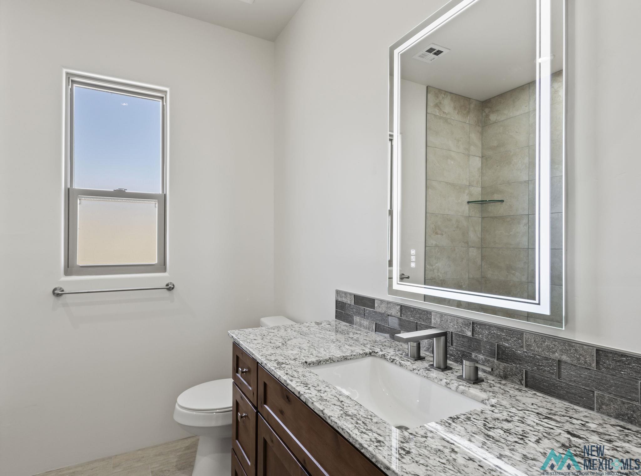 202 Tierra Verde Road, Elephant Butte, New Mexico image 22