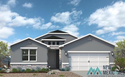 Homes For Sale - 3705 N Pat Garrett Road<br/> Eddy County, Carlsbad, NM 88220