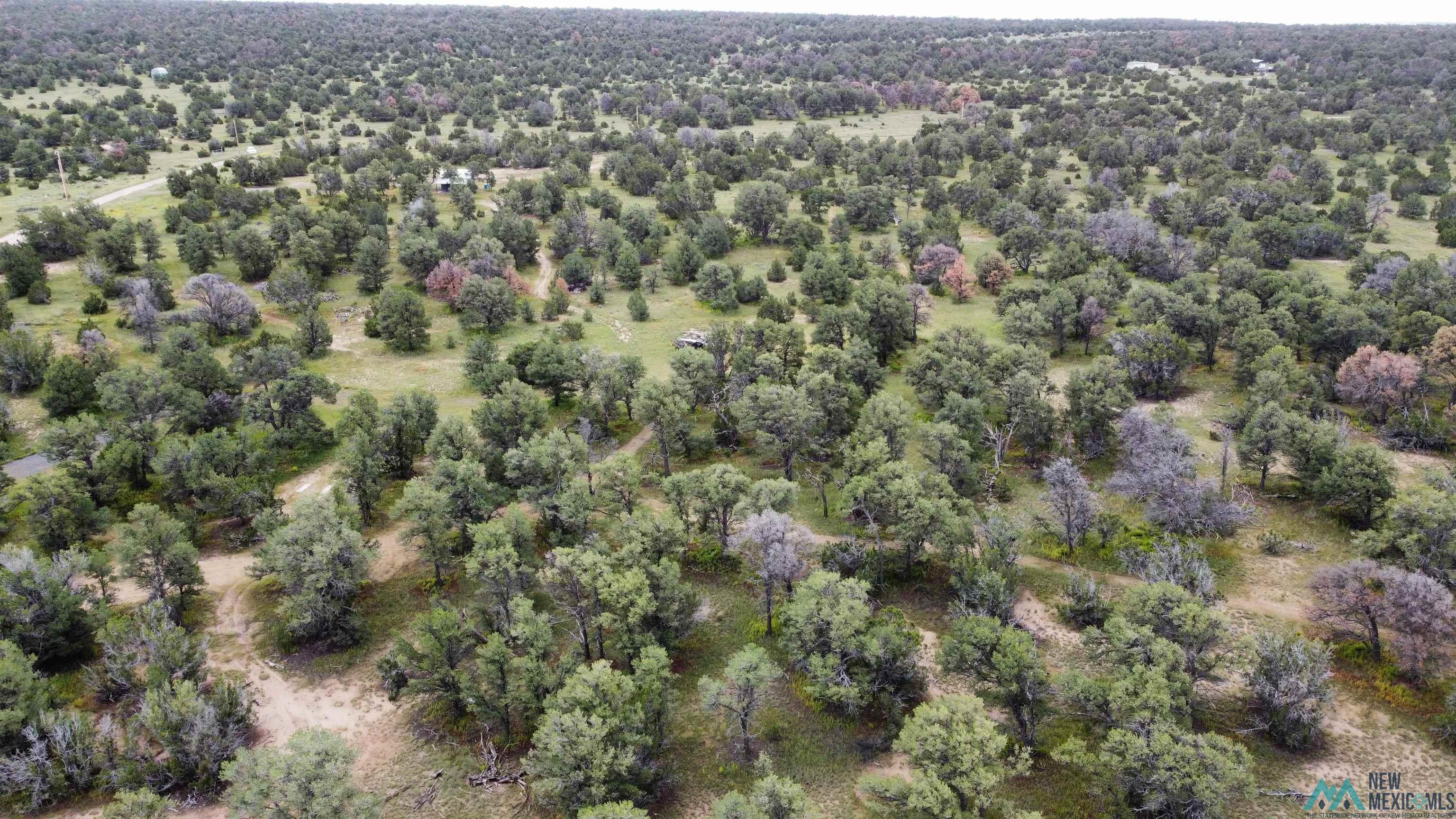 63 Indian Road, Fence Lake, Texas image 9