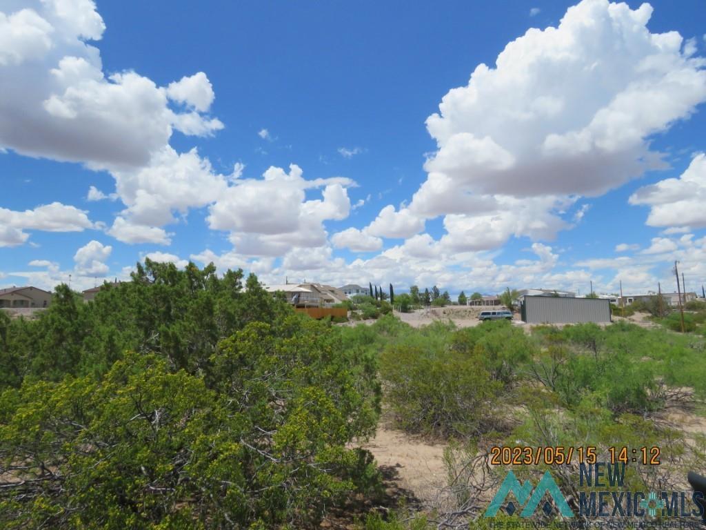 216 Superior Drive, Elephant Butte, New Mexico image 2