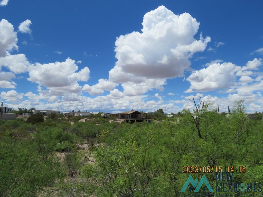 216 Superior Drive, Elephant Butte, New Mexico image 8