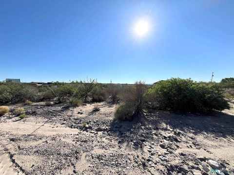 Vacant Land For Sale - 1003 Skyline Drive<br/> Sierra County, Elephant Butte, NM 87935