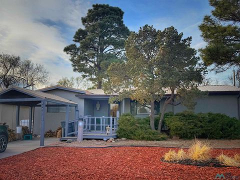 Homes For Sale - 712 Dalbey Drive<br/> Las Vegas, NM 87701