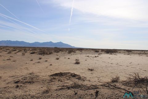 Vacant Land For Sale - Cottonwood Rd Sw<br/> Luna County, Deming, NM 88030