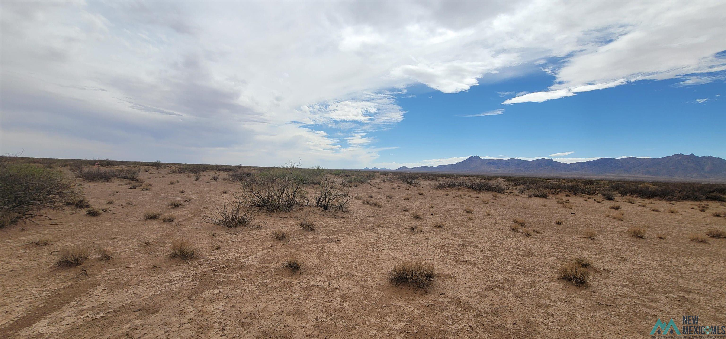 XXXX SE Acoma Road, Deming, New Mexico image 3