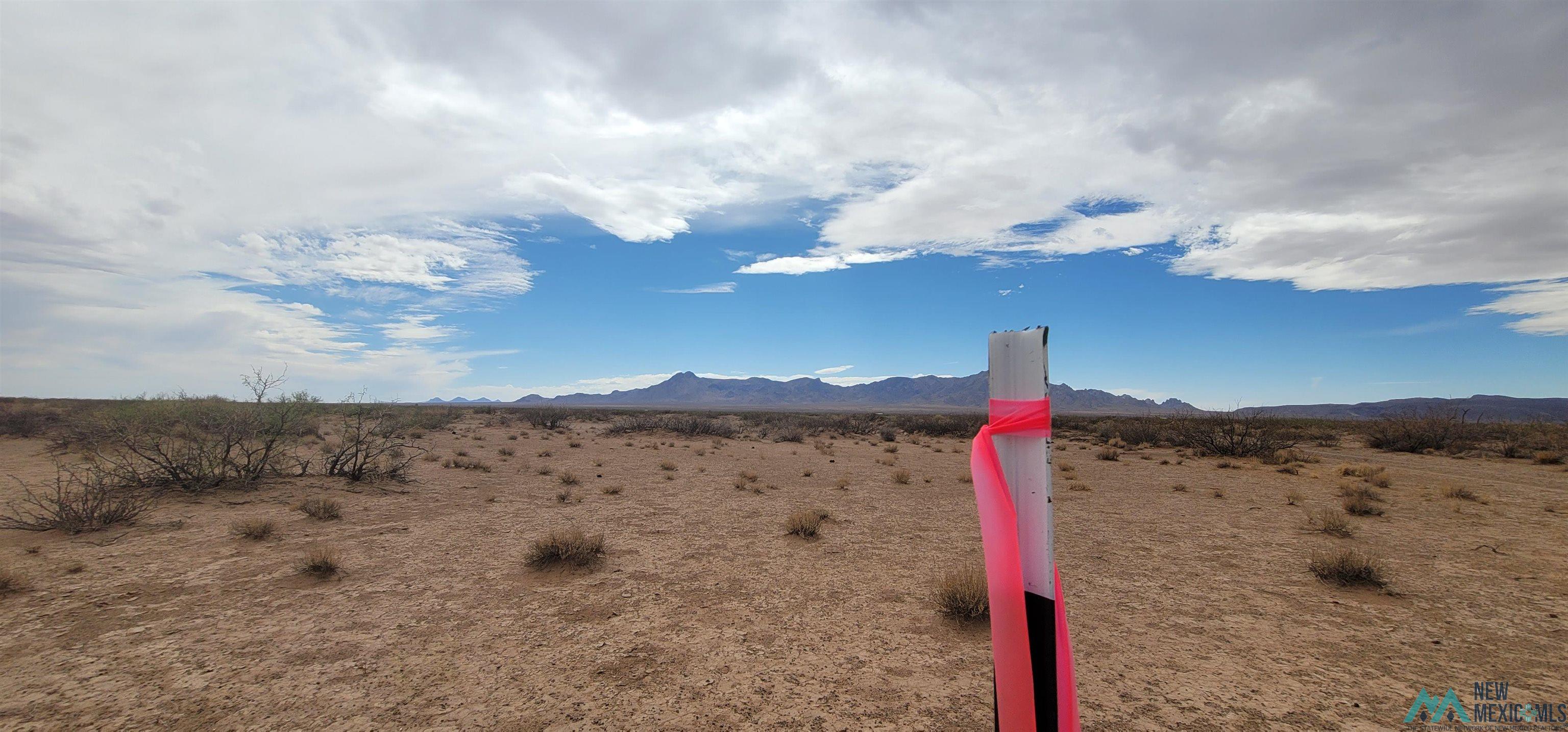 XXXX SE Acoma Road, Deming, New Mexico image 2