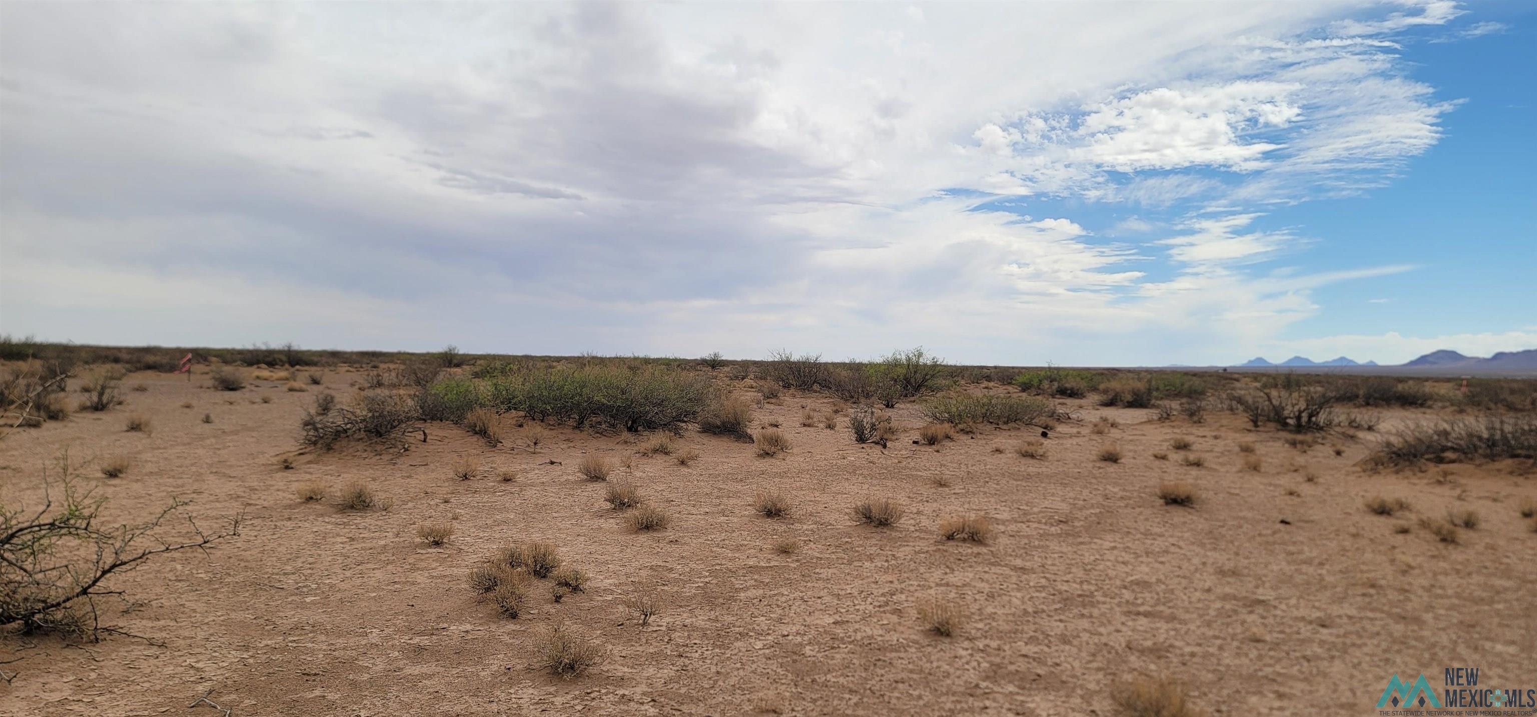 XXXX SE Acoma Road, Deming, New Mexico image 4