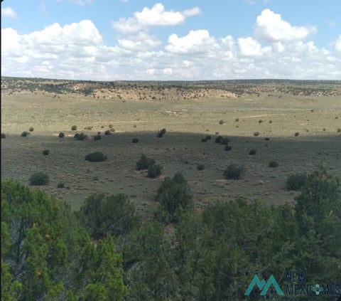 Vacant Land For Sale - 1587 Nm Highway 36 Highway<br/> Fence Lake, NM 87315