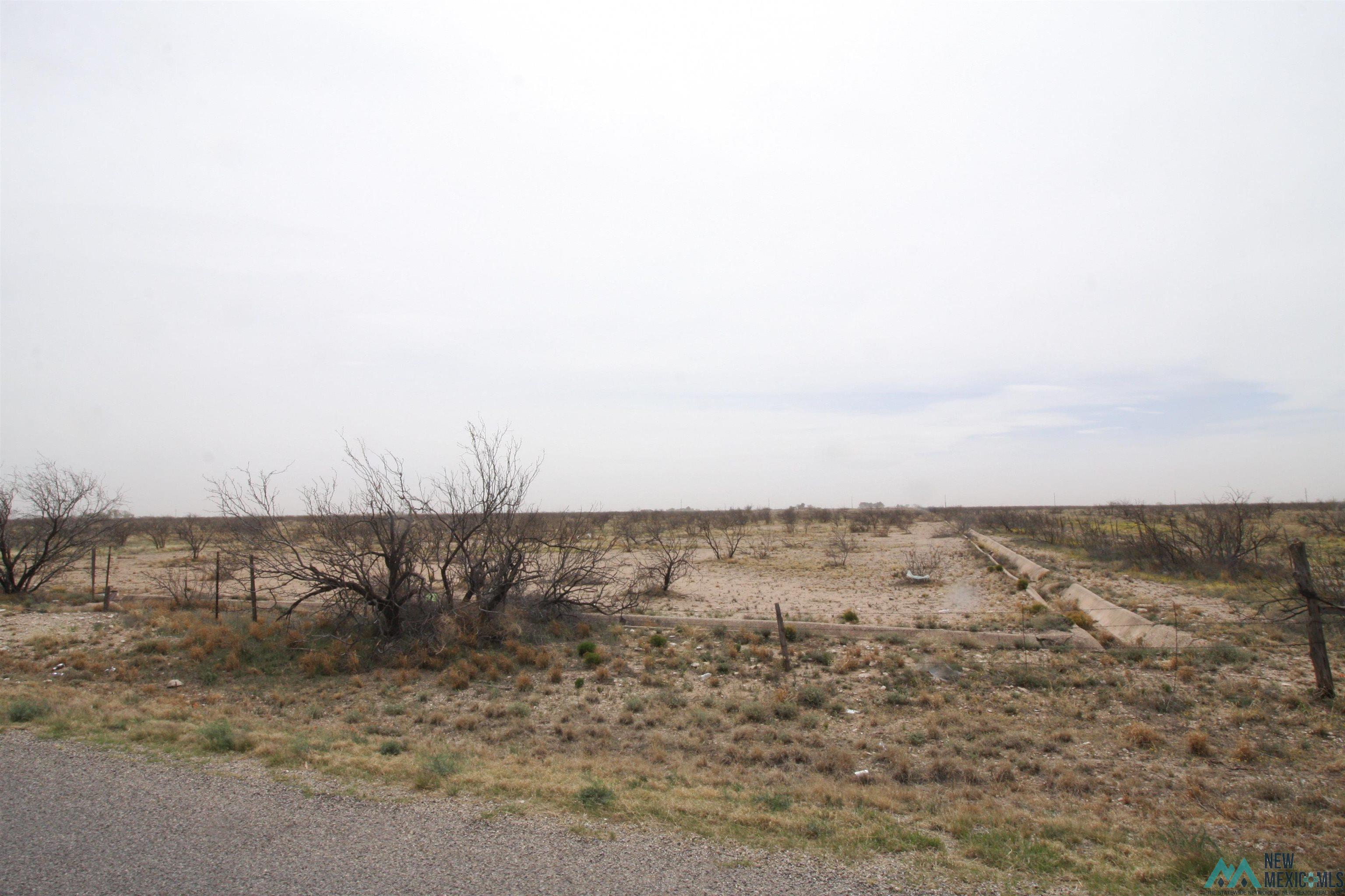 4709 Sumruld Road, Lovington, Texas image 7