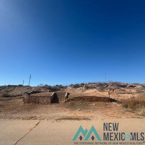 Vacant Land For Sale - 1309 Lopez Street<br/> Eddy County, Carlsbad, NM 88220