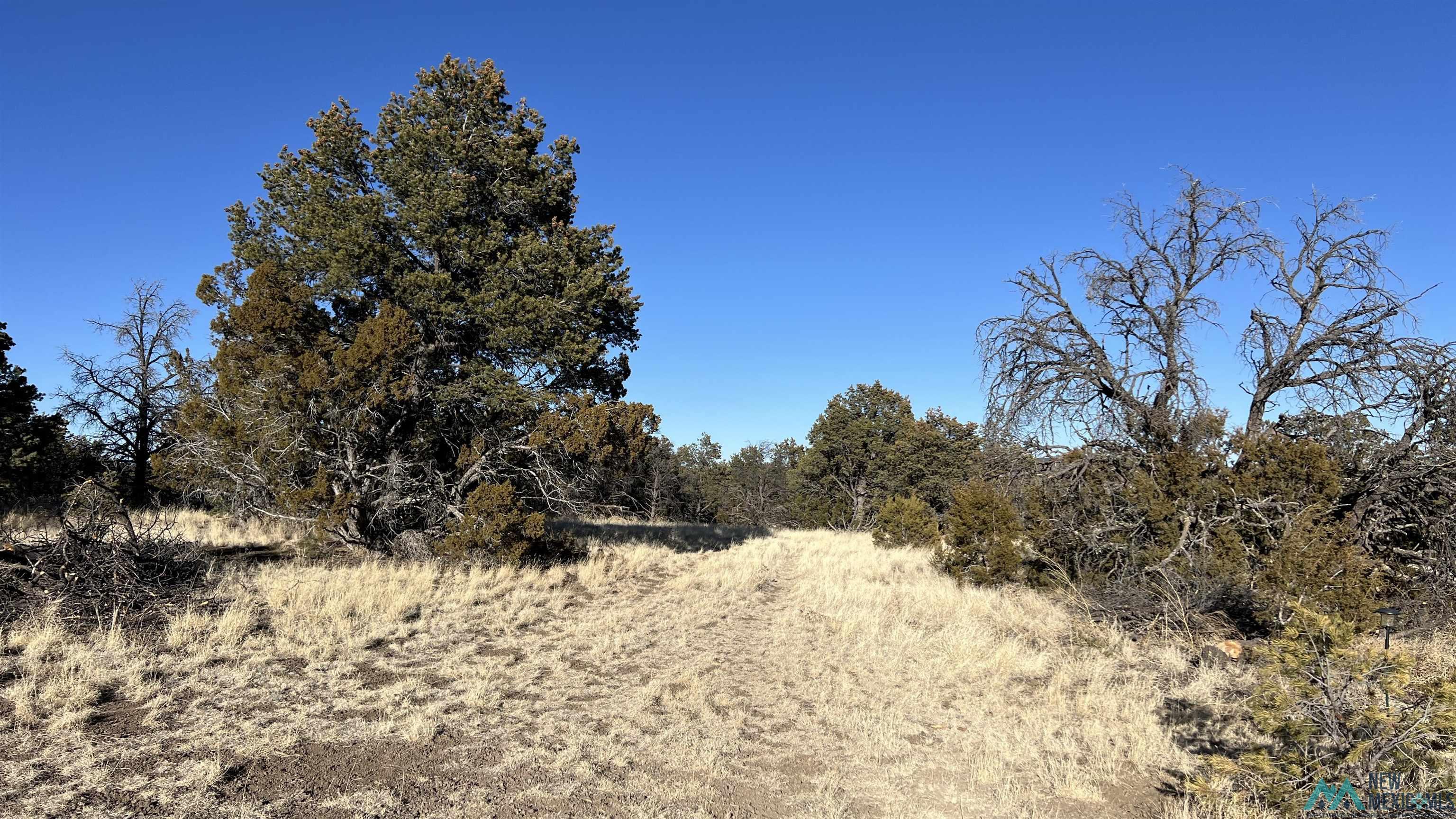 30 Mujeres Vw Road, Fence Lake, Texas image 22