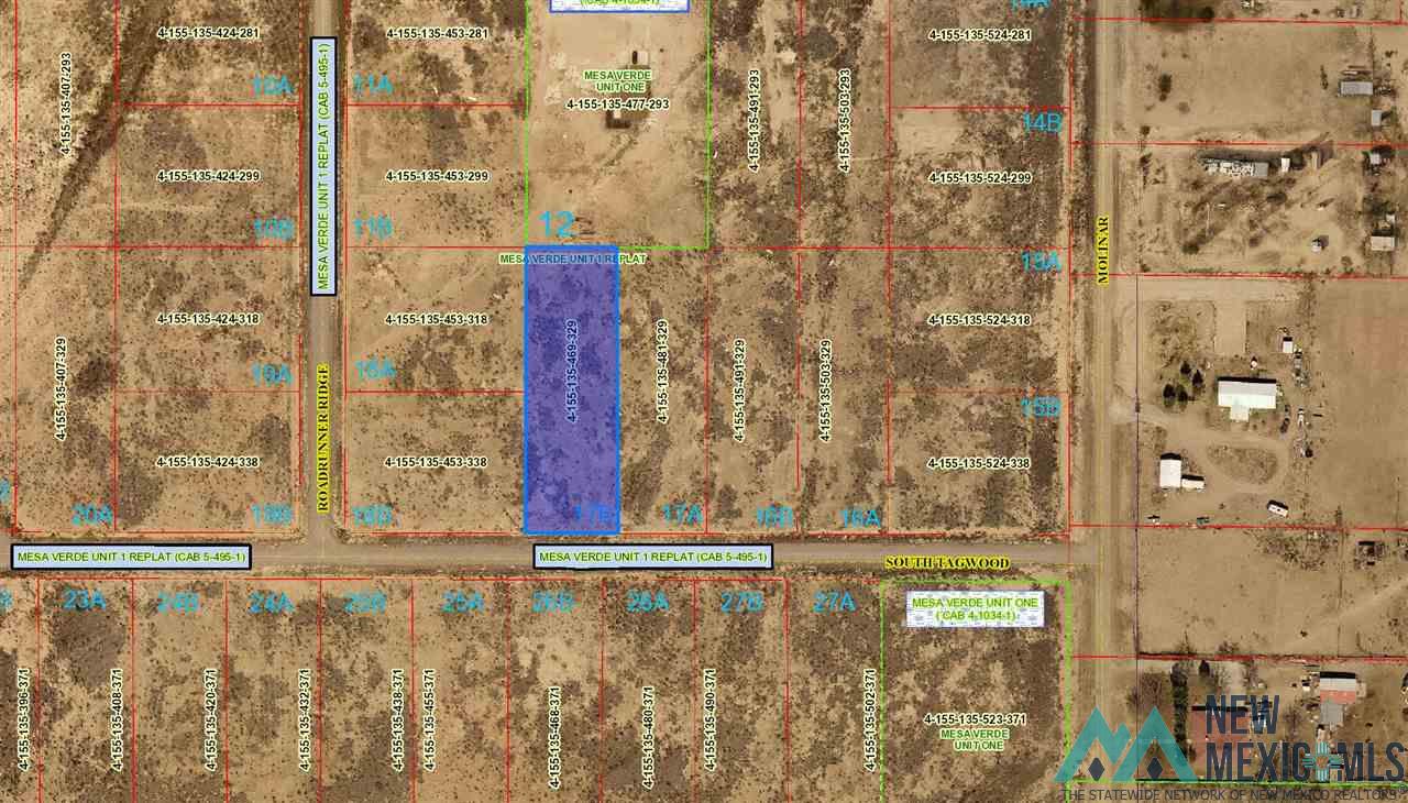 Lot 17B S Tagwood Lane, Carlsbad, New Mexico image 8