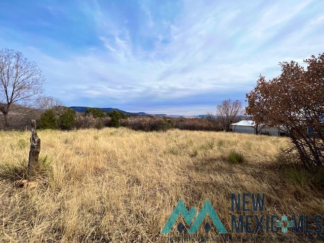 Dwyer Avenue, Raton, New Mexico image 4