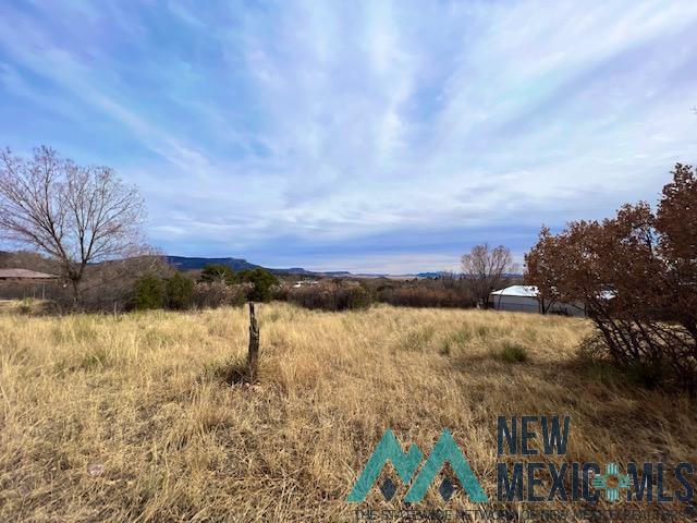 Dwyer Avenue, Raton, New Mexico image 12
