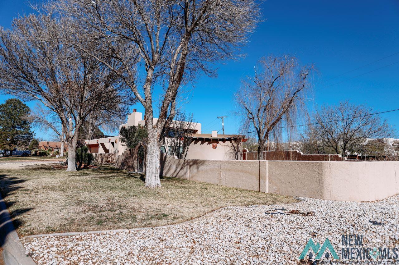 1710 E Loretta Lane, Carlsbad, New Mexico image 6