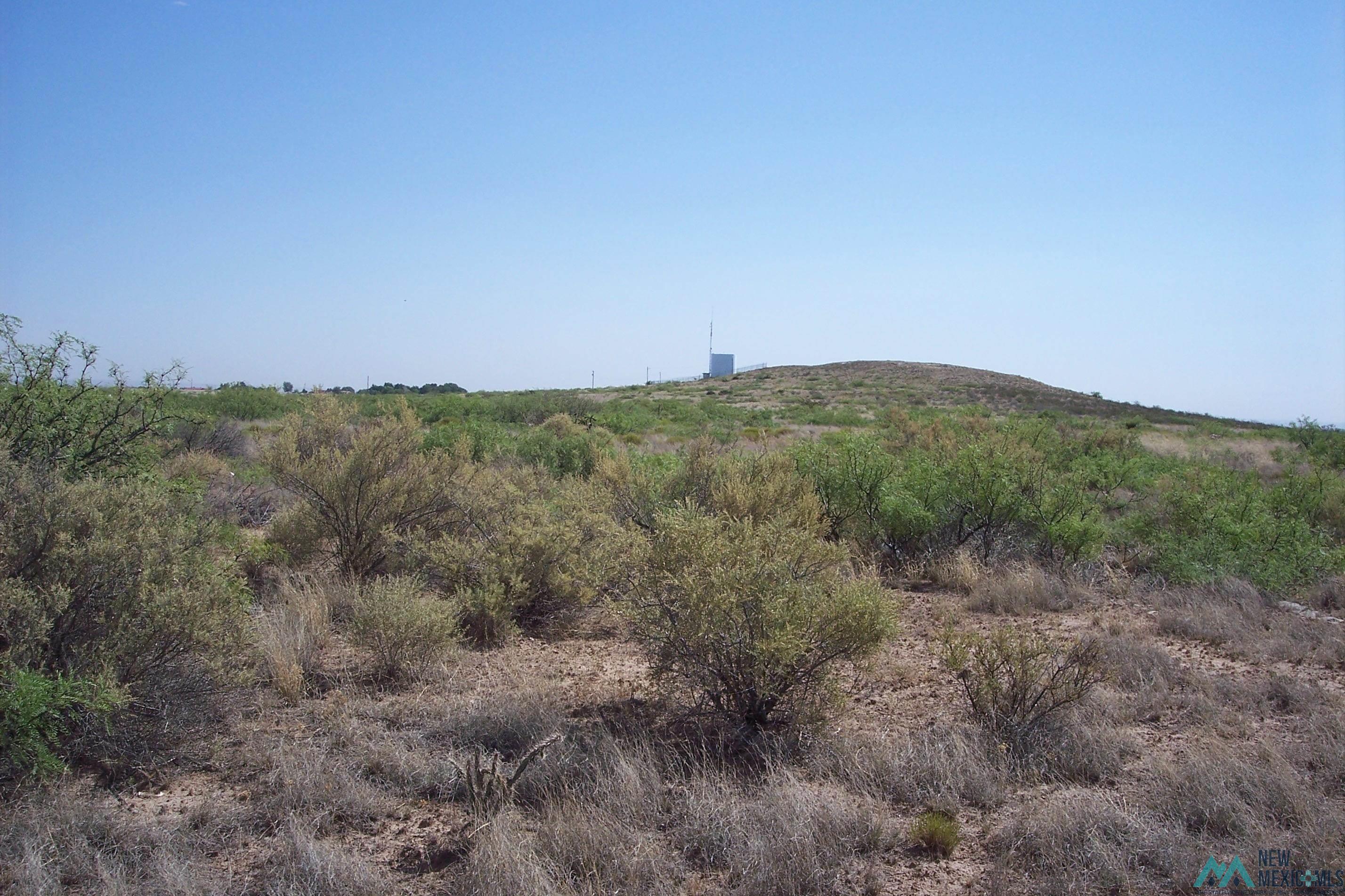 000 Mark Road, Roswell, Texas image 3