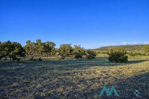 Vacant Land For Sale - 158-A Deer Road<br/> Catron County, Quemado, NM 87829