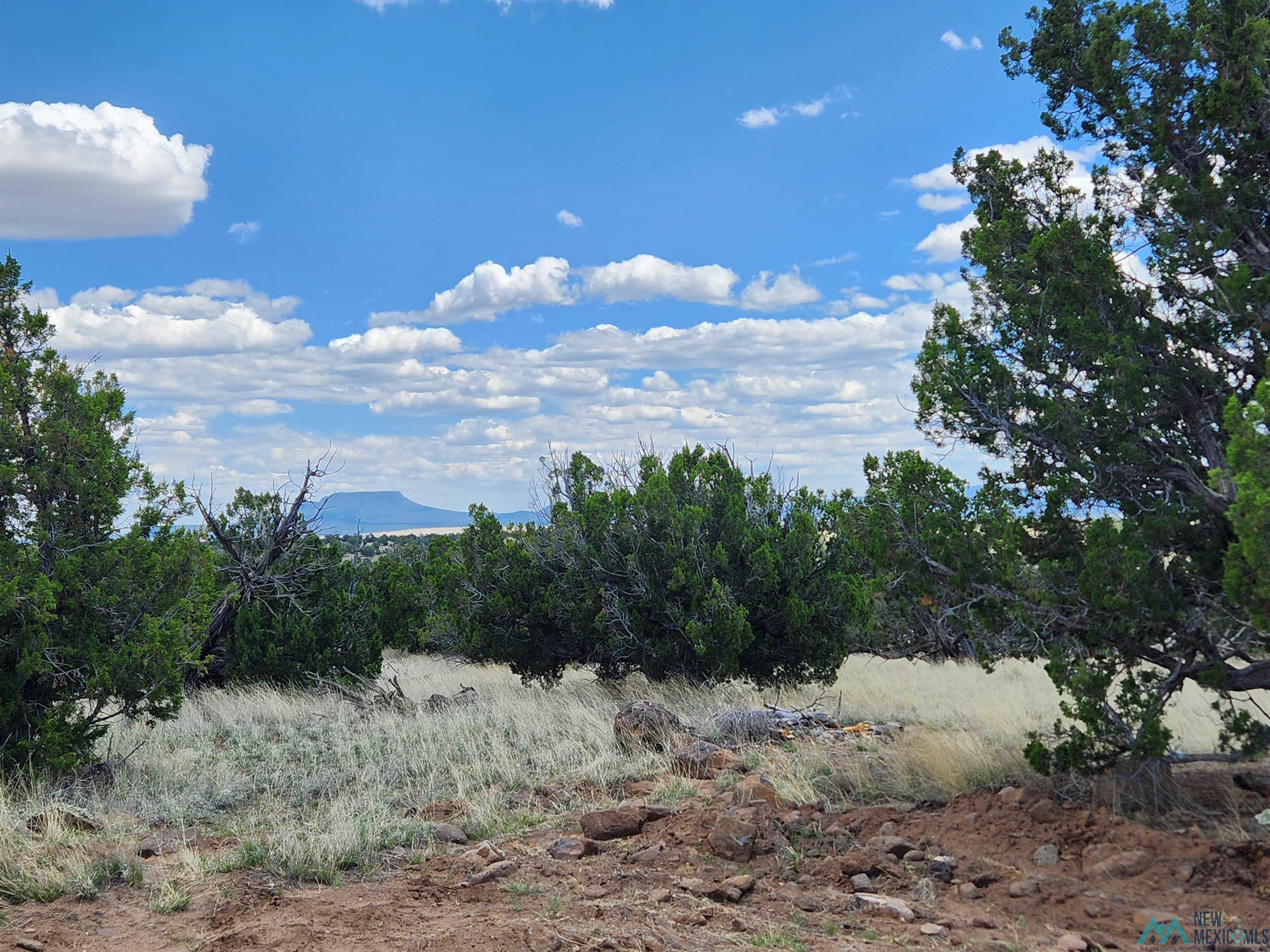 108 Pima Drive, Quemado, New Mexico image 7