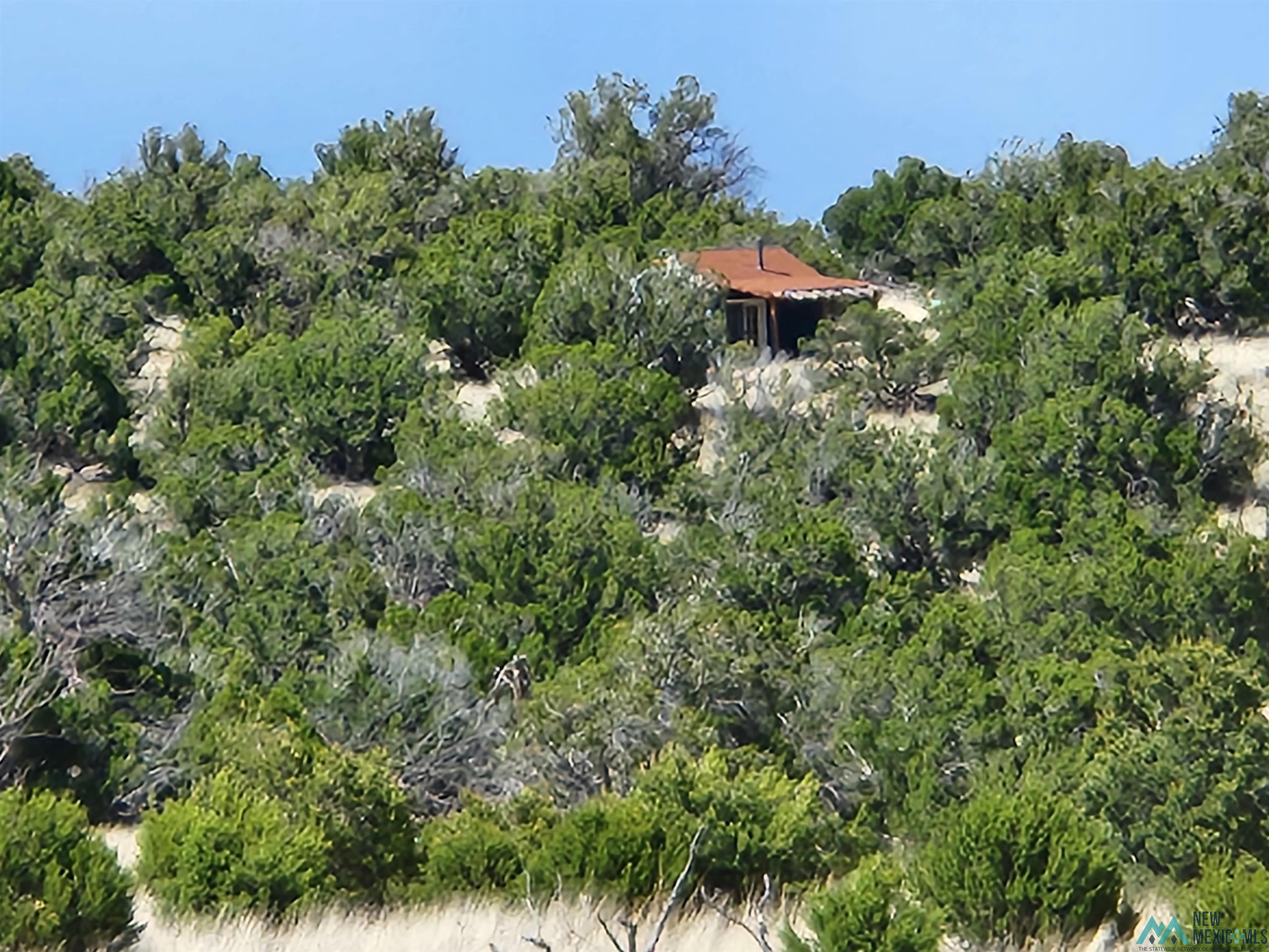 108 Pima Drive, Quemado, New Mexico image 3