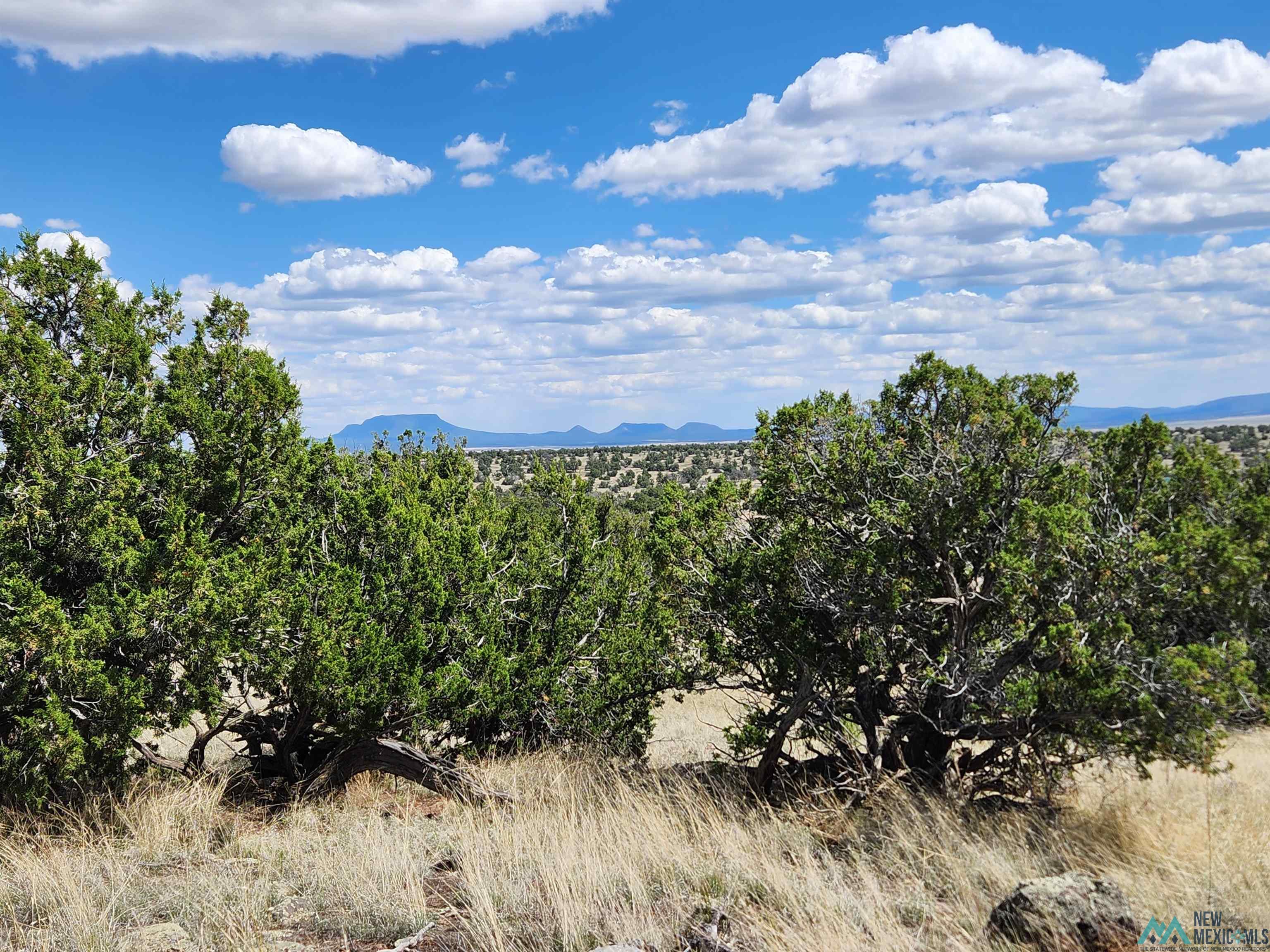 108 Pima Drive, Quemado, New Mexico image 12