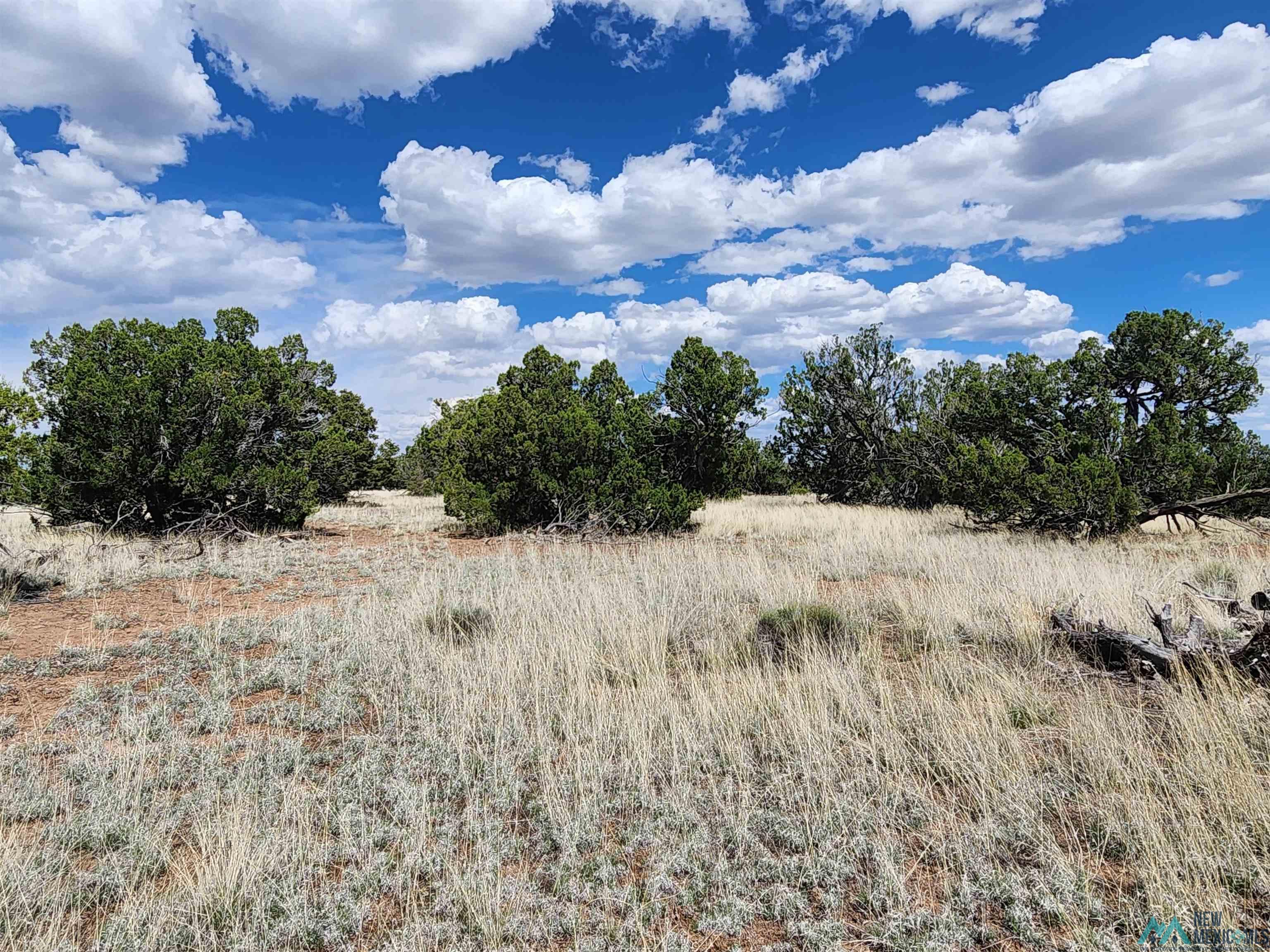 108 Pima Drive, Quemado, New Mexico image 9