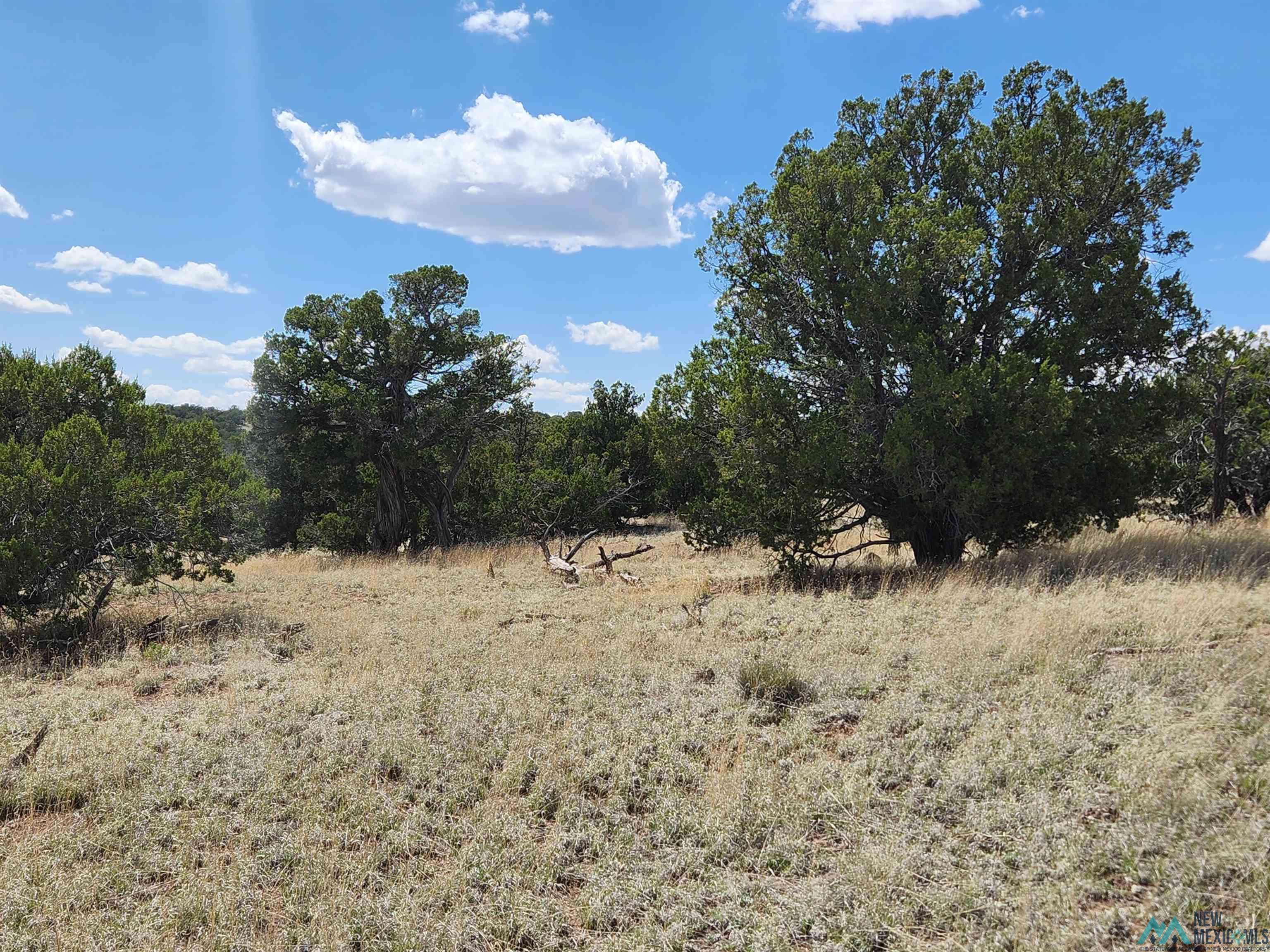 108 Pima Drive, Quemado, New Mexico image 13