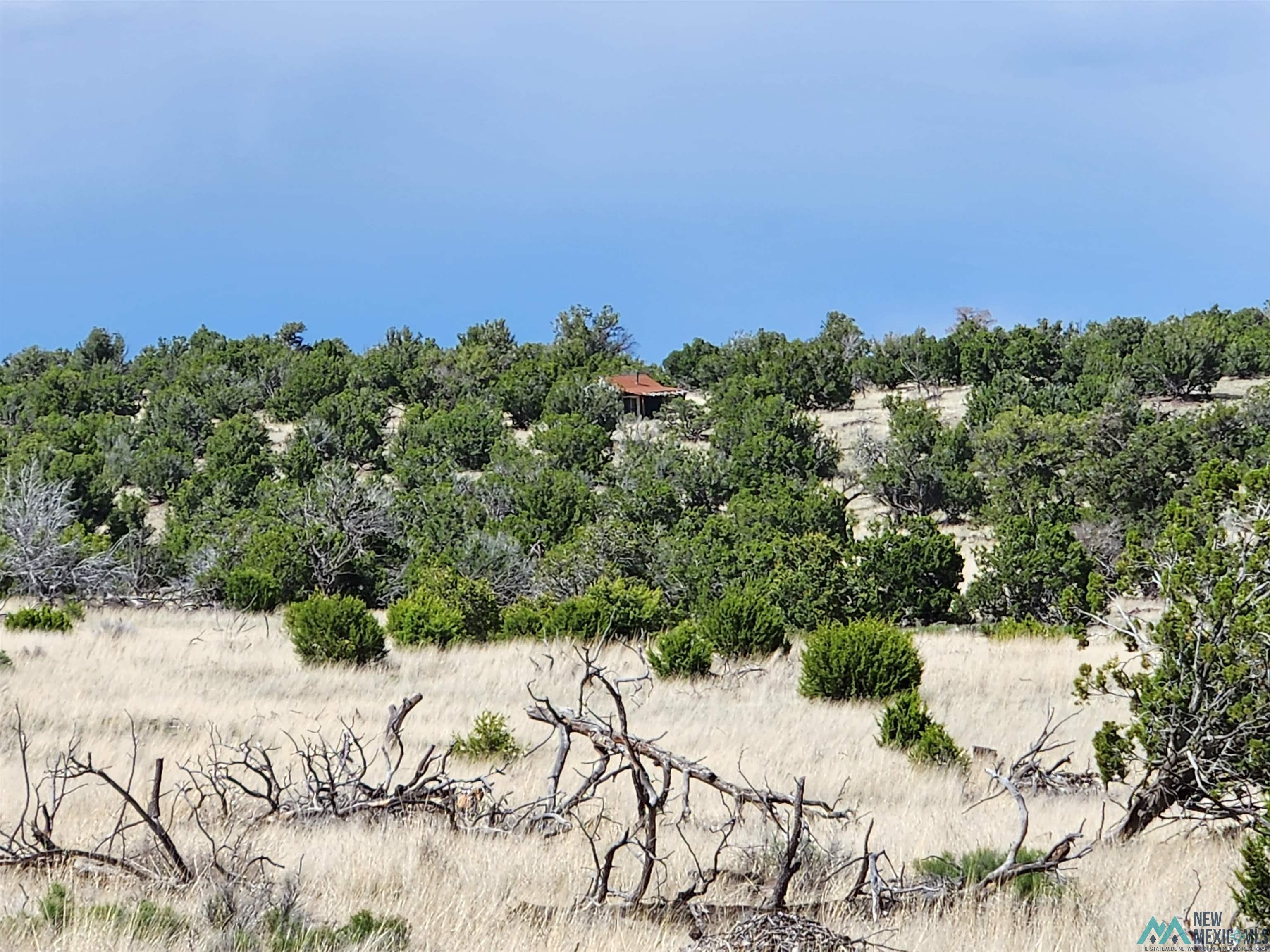 108 Pima Drive, Quemado, New Mexico image 16