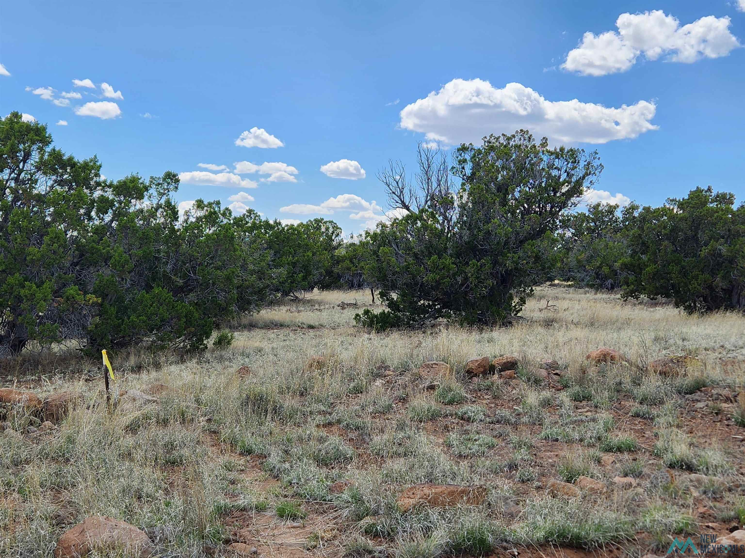 108 Pima Drive, Quemado, New Mexico image 8