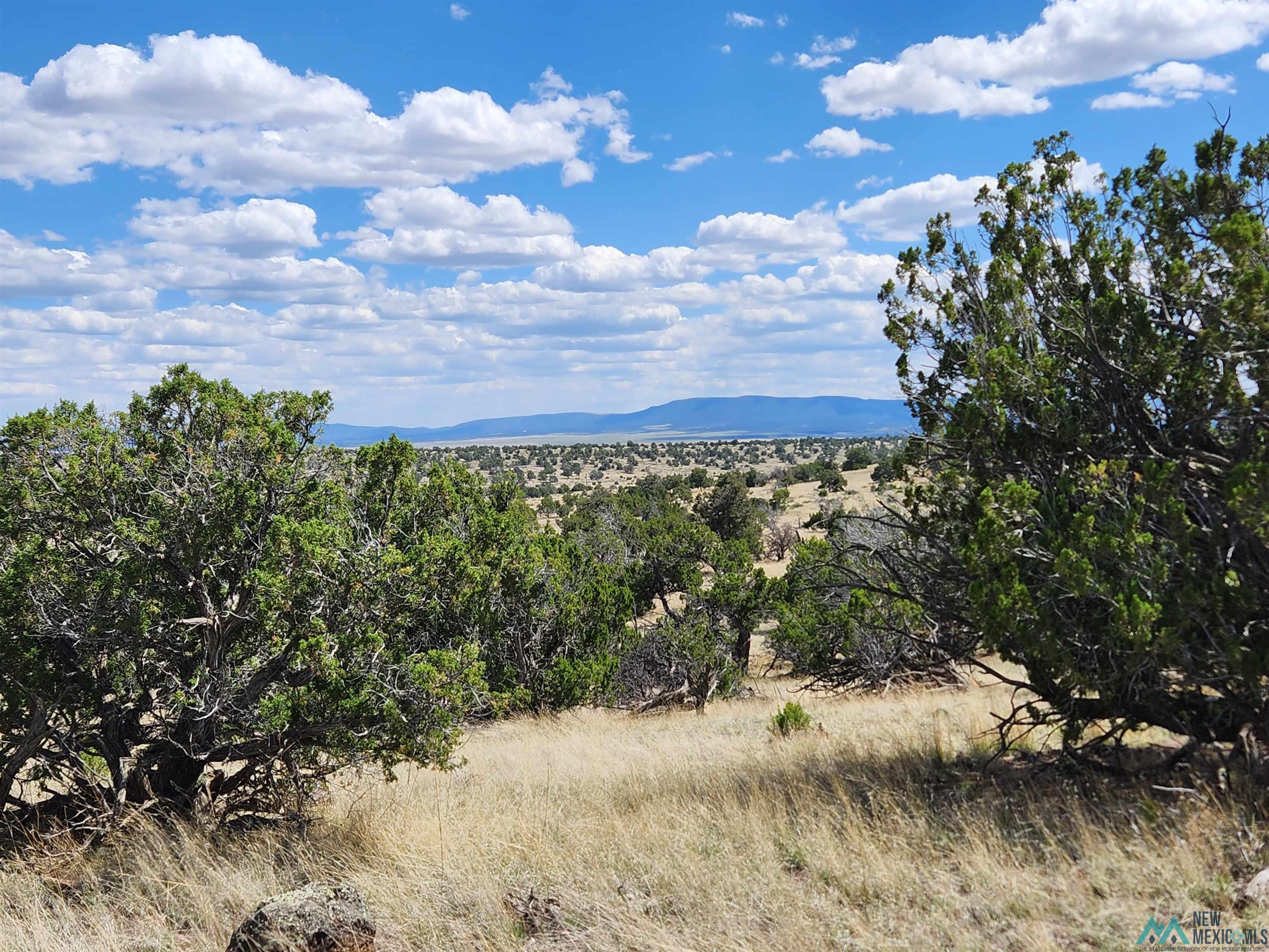 108 Pima Drive, Quemado, New Mexico image 11