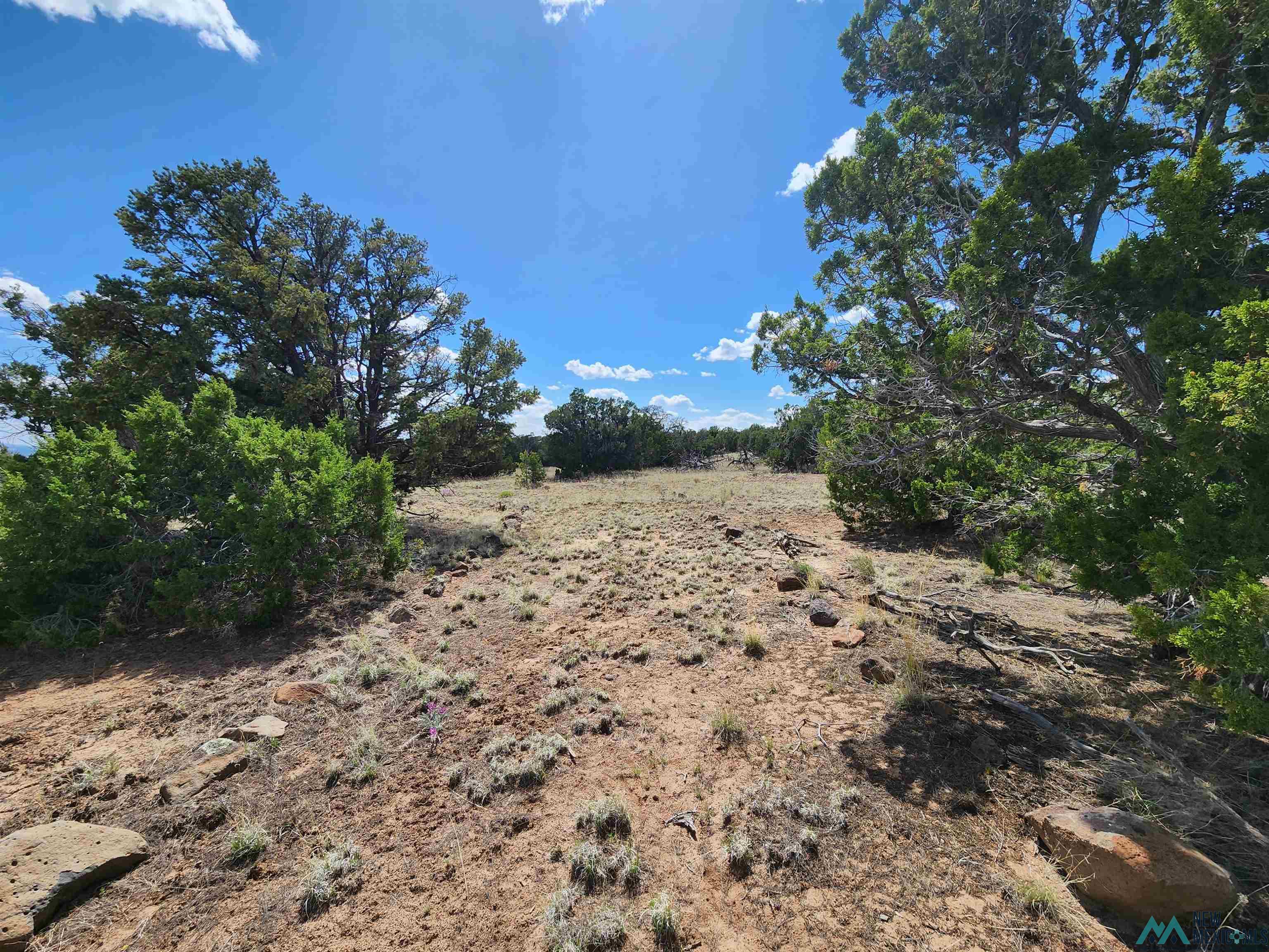 108 Pima Drive, Quemado, New Mexico image 14