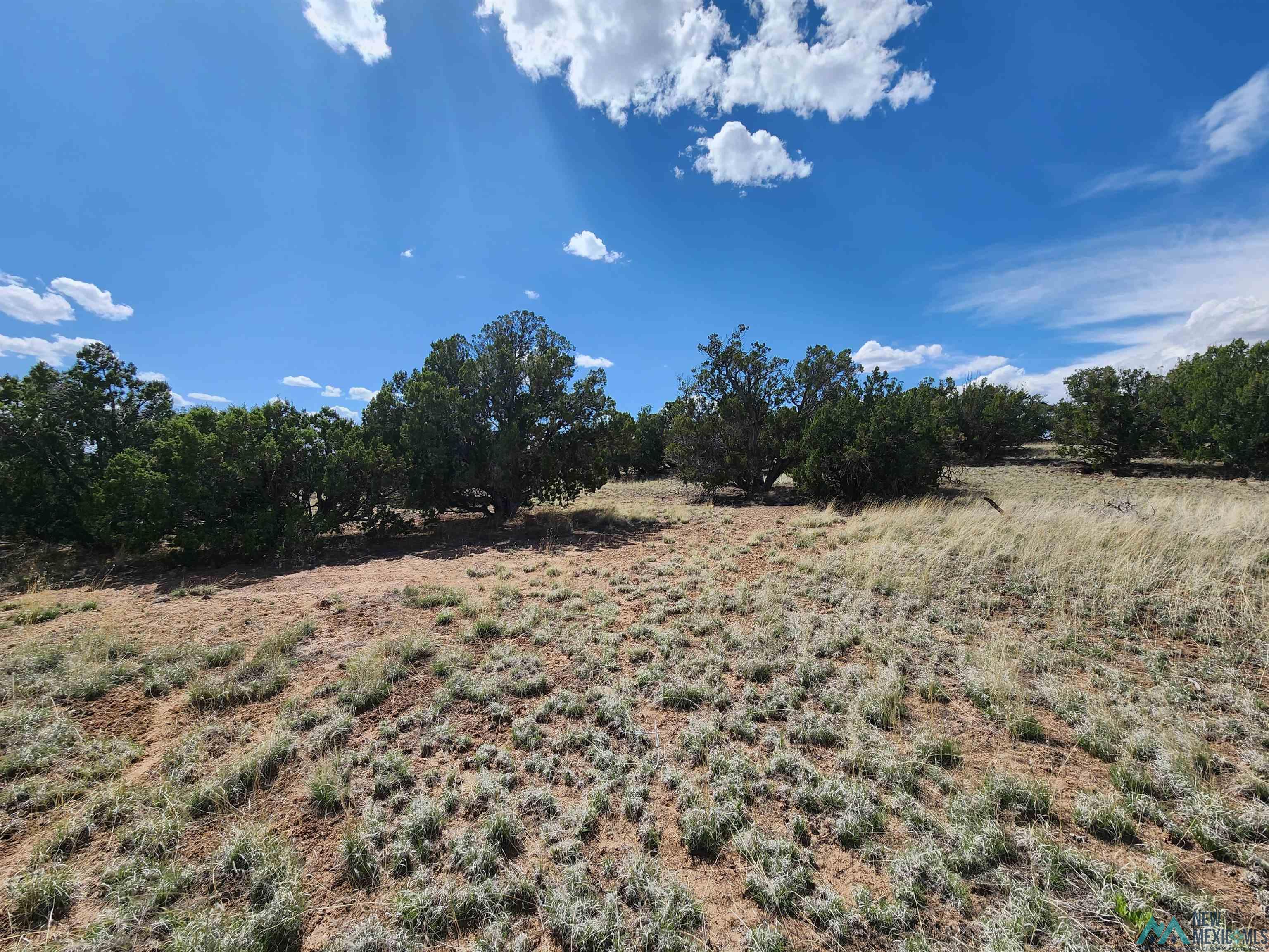 108 Pima Drive, Quemado, New Mexico image 10