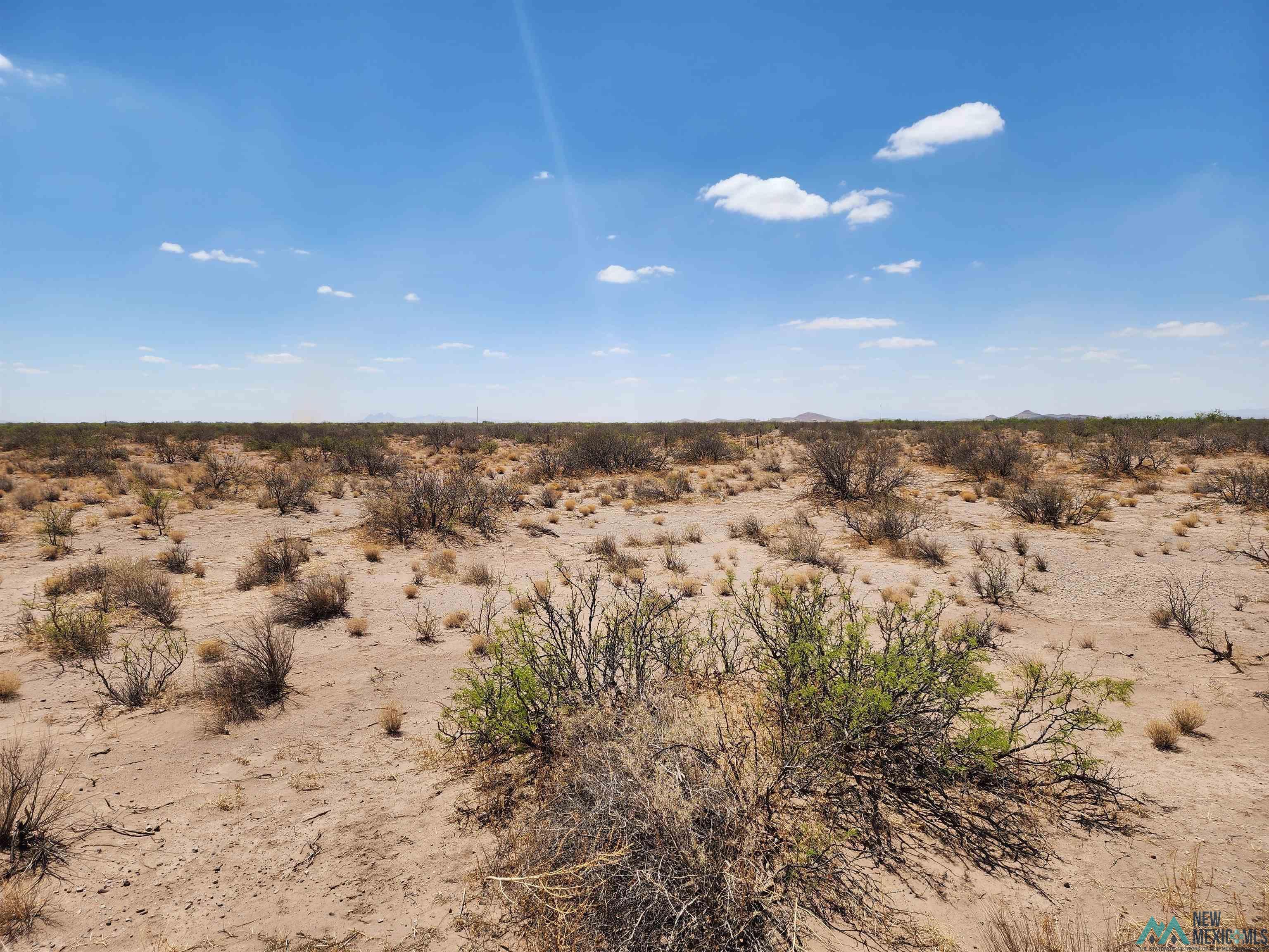 Xx SW Lemitar Road, Deming, New Mexico image 3