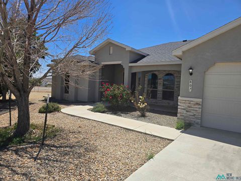 Homes For Sale - 807 Calamity Jane Drive<br/> Eddy County, Carlsbad, NM 88220